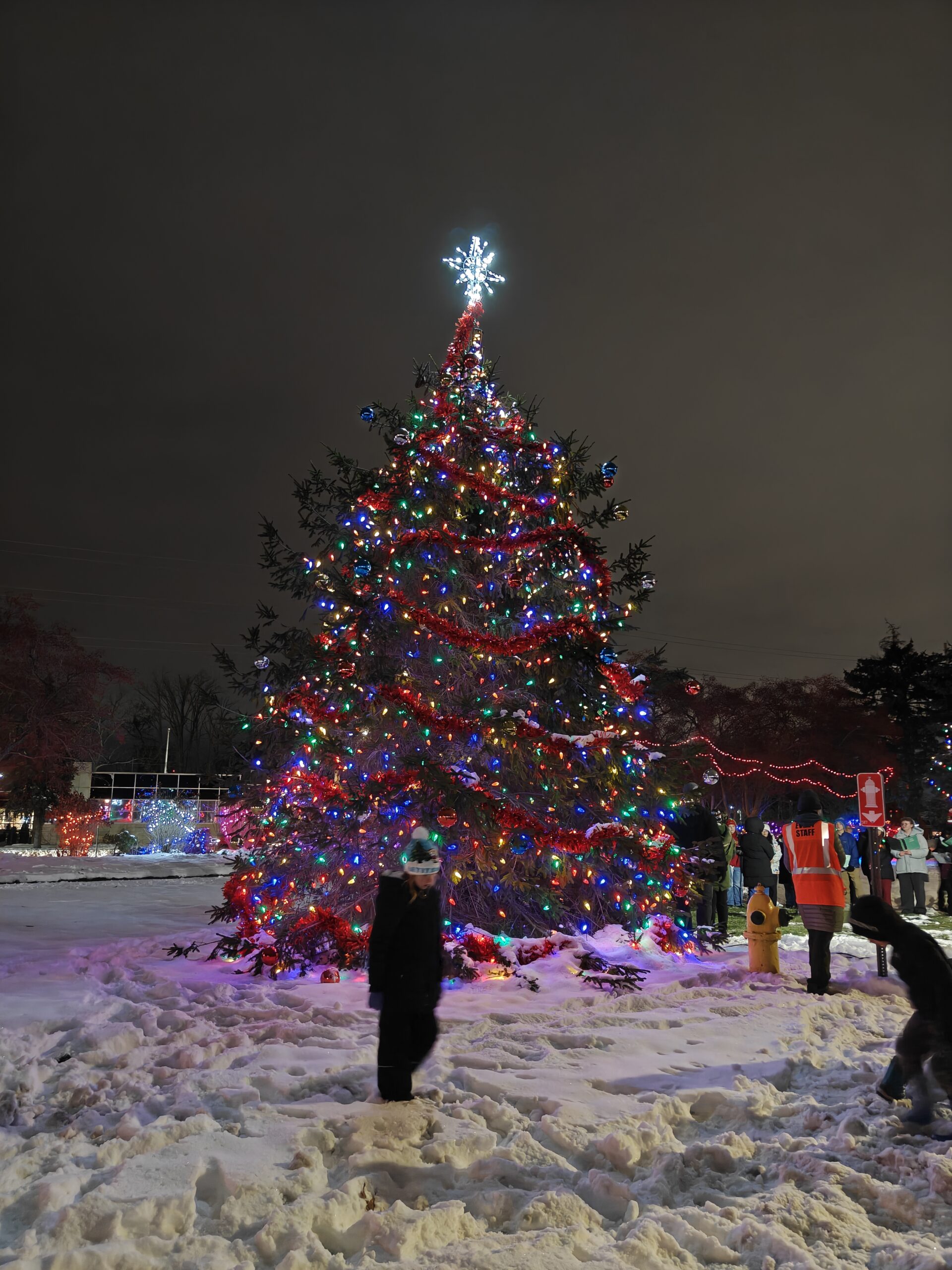 Photo of a Christmas tree, taken with the OnePlus 15R.