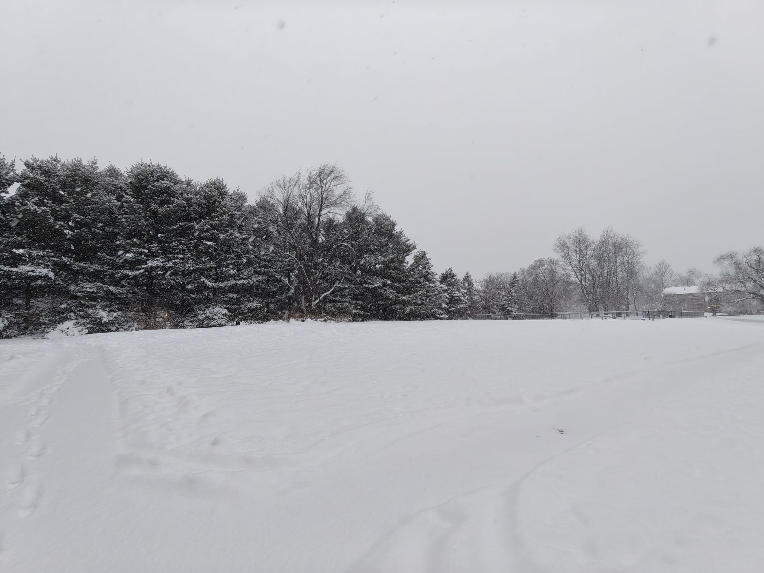 Photo of snow-covered trees, taken with the OnePlus 15R.