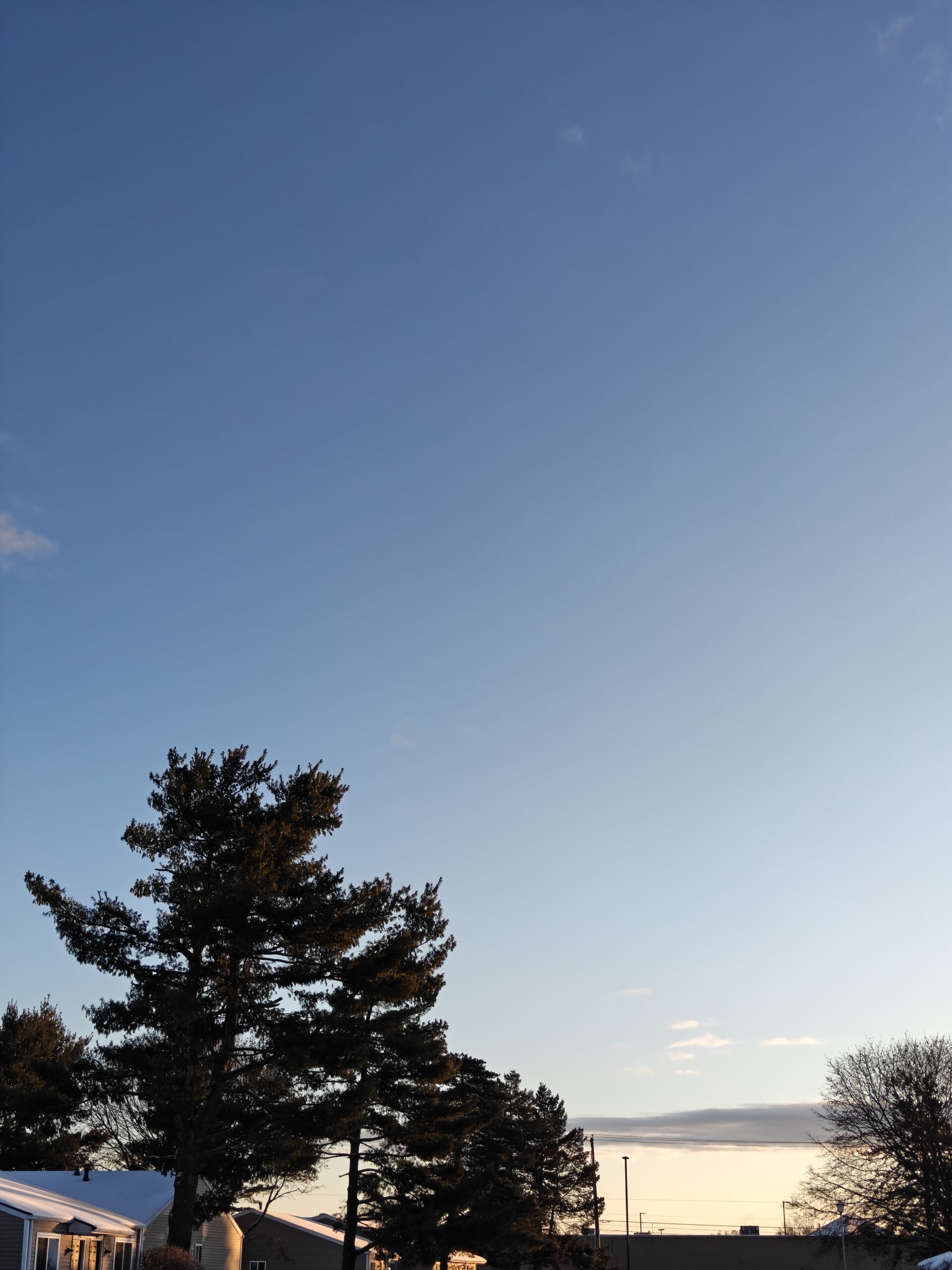 Photo of a blue sky during winter, taken with the OnePlus 15R.