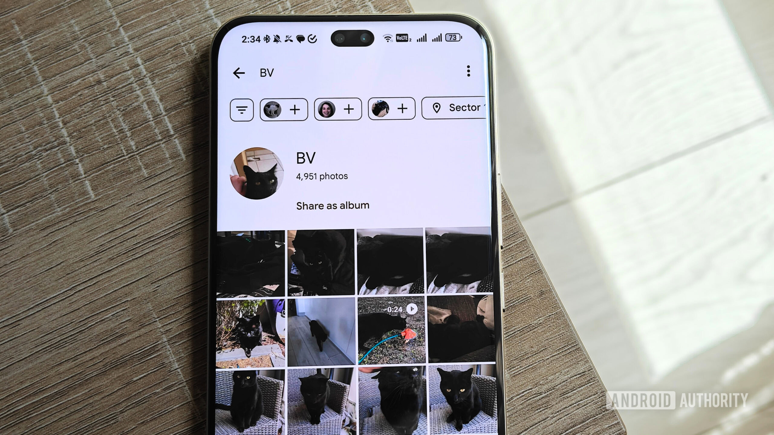 pet face recognition in google photos pet face recognition in google photos