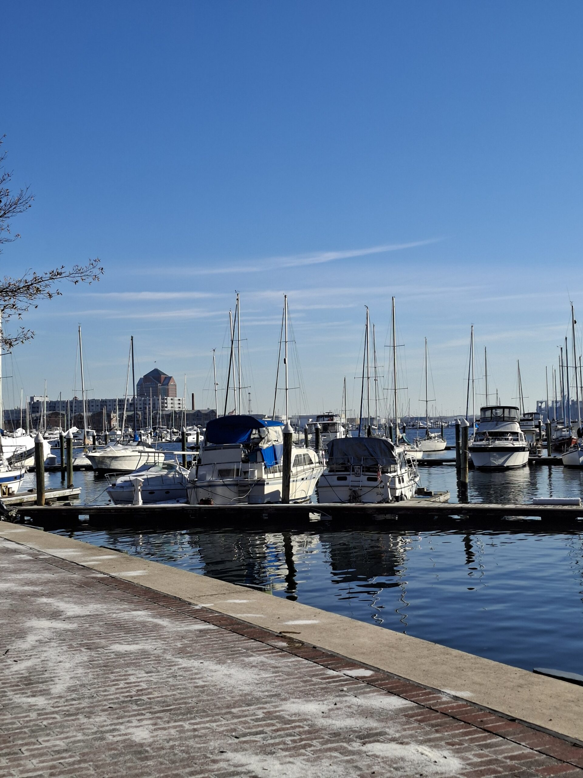 Galaxy A56 marina 2x