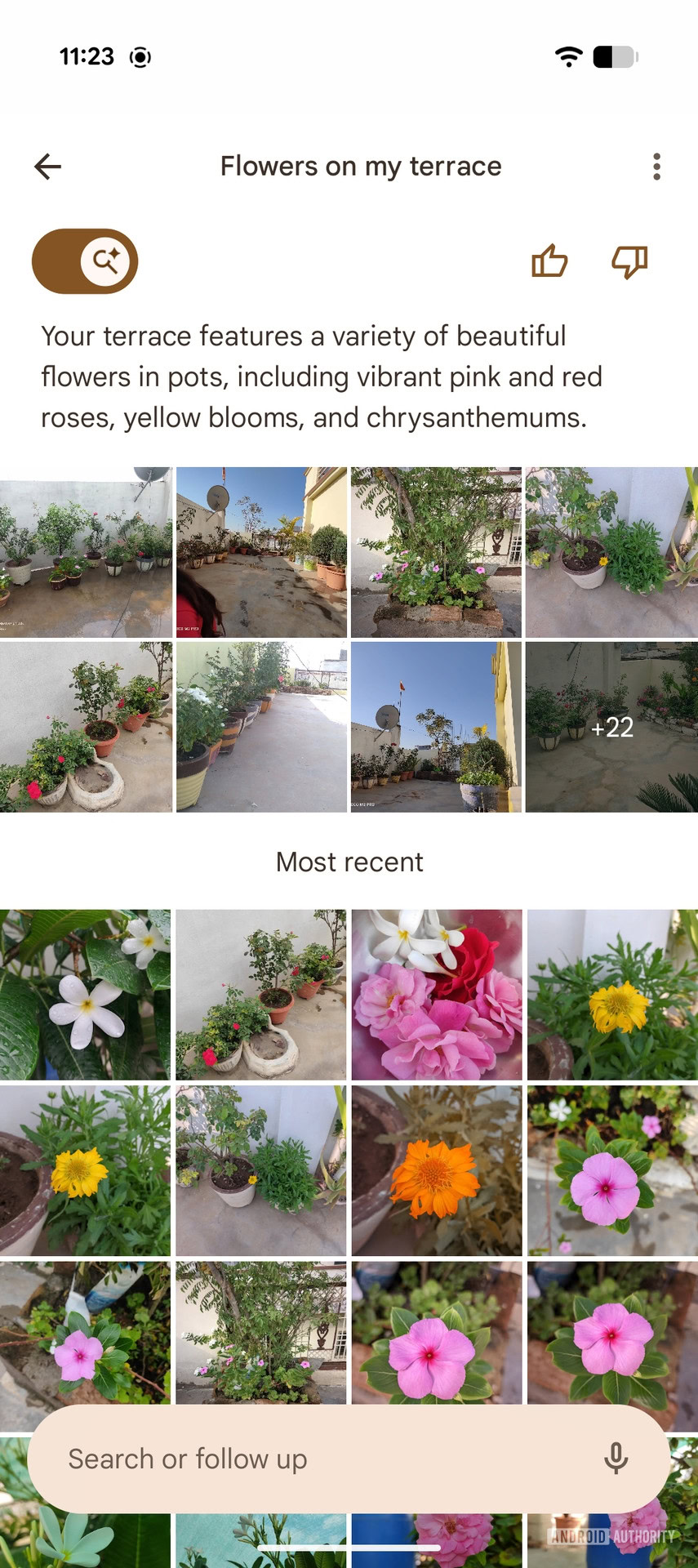 Google Photos Ask Photos UI changes (3)