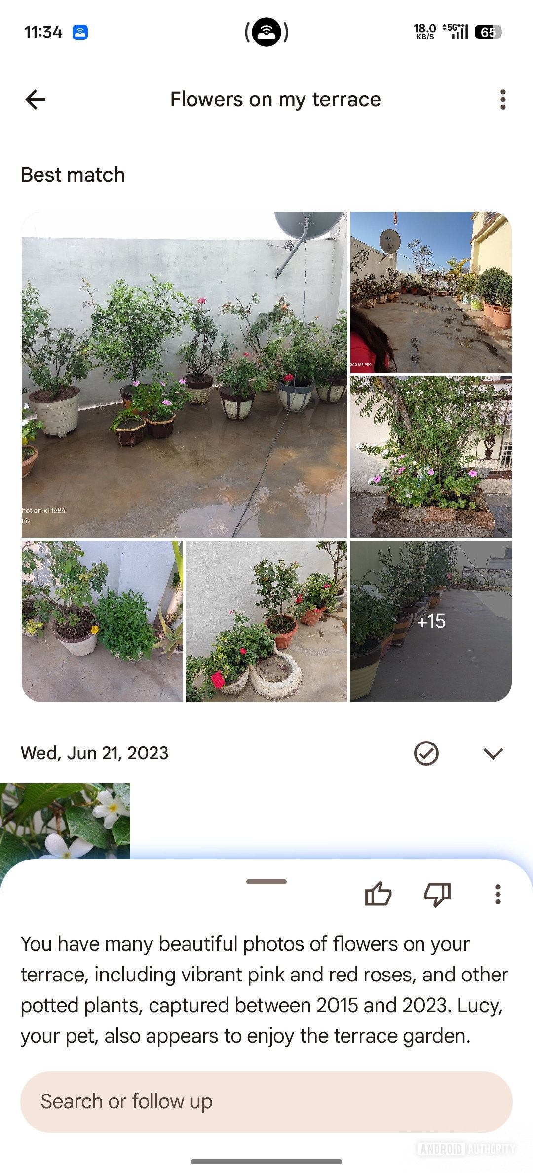 Google Photos Ask Photos UI changes (4)