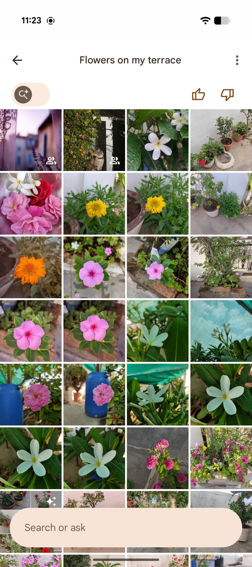 Google Photos Ask Photos UI changes (5)