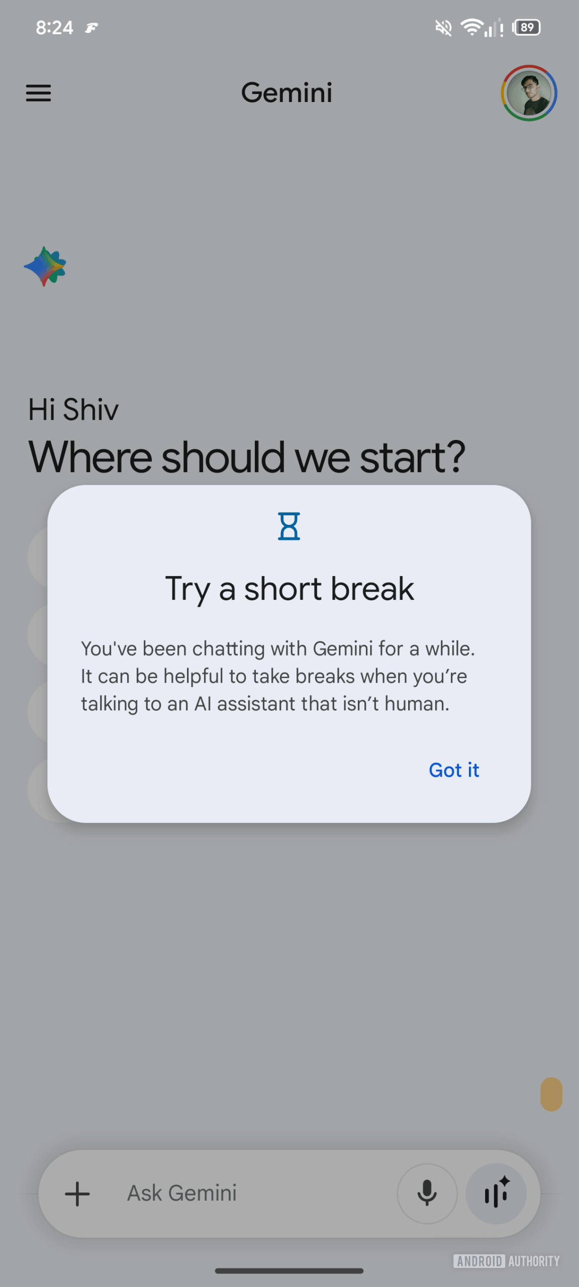 Google gemini take a break