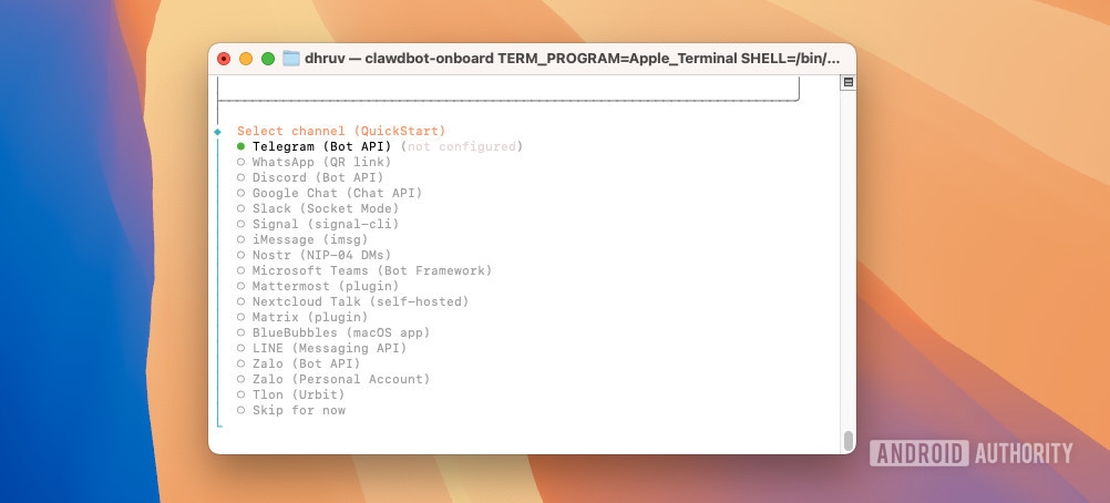 Moltbot onboarding process