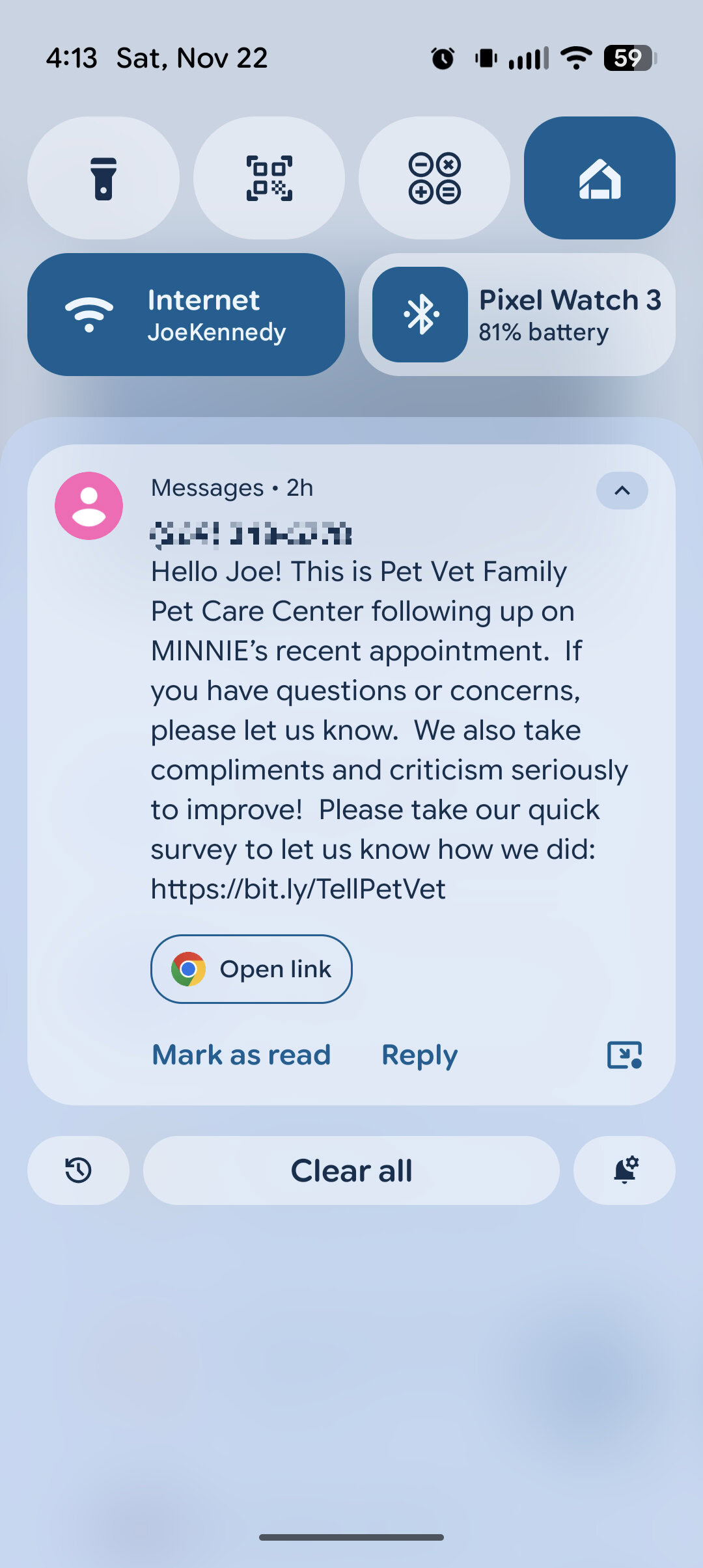 Screenshot of a long text message on a Pixel phone.