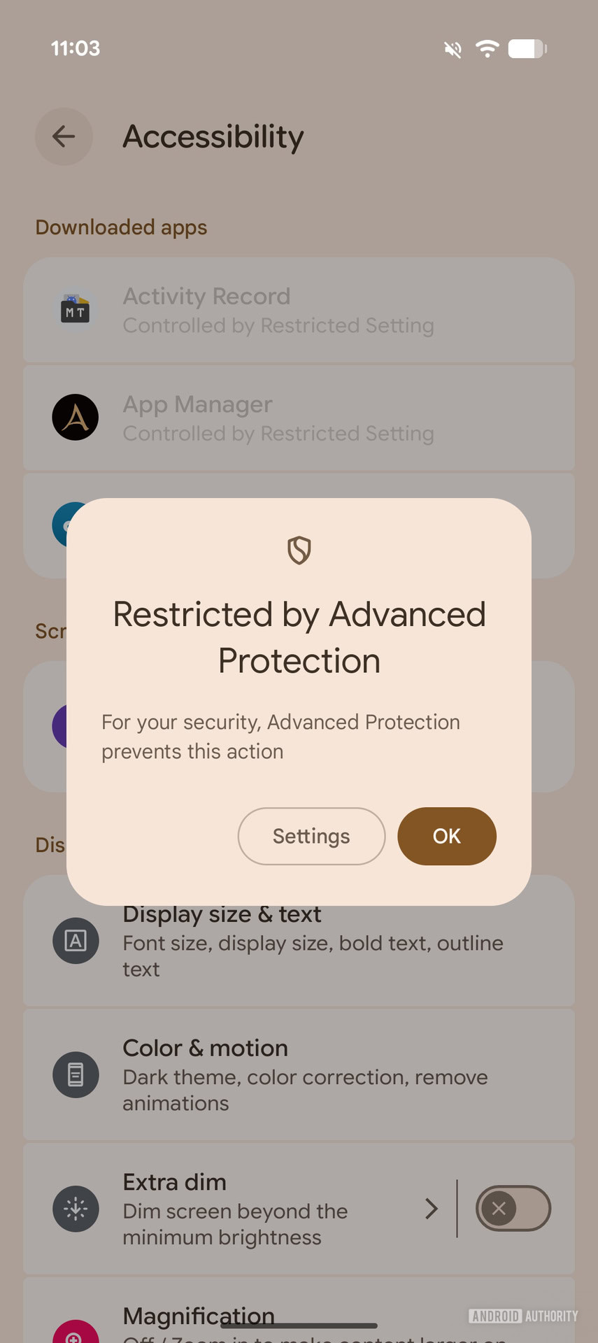 Android Canary 2602 Advanced Protection Mode non Accessibility Tools changes (2)