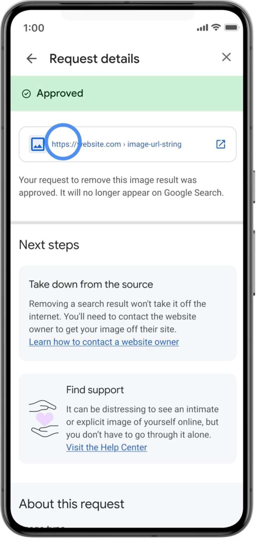Explicit image removal 1