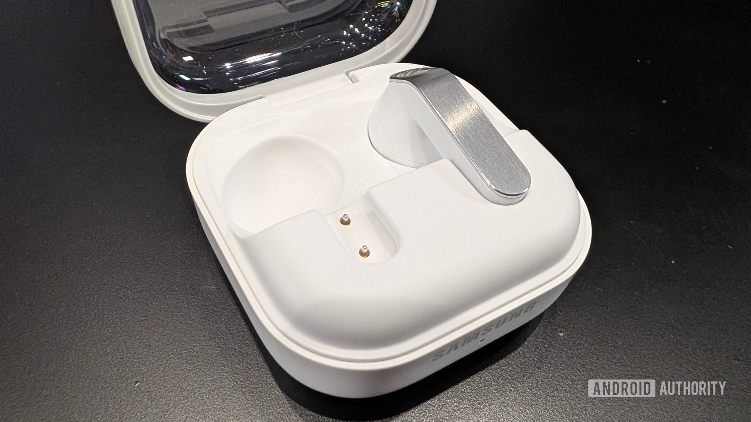 Galaxy Buds 4 case pins