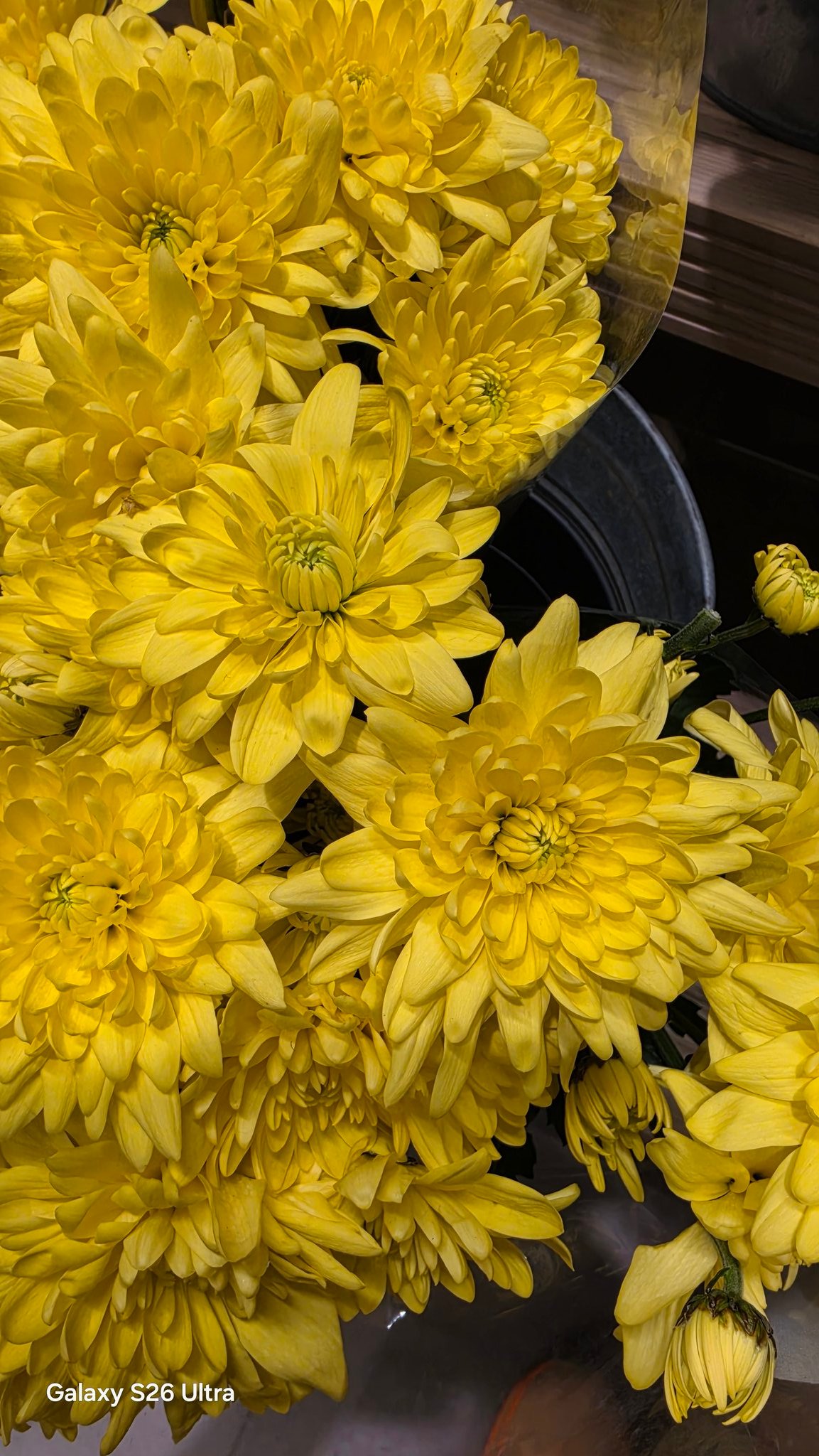 Galaxy S26 Ultra photo 2