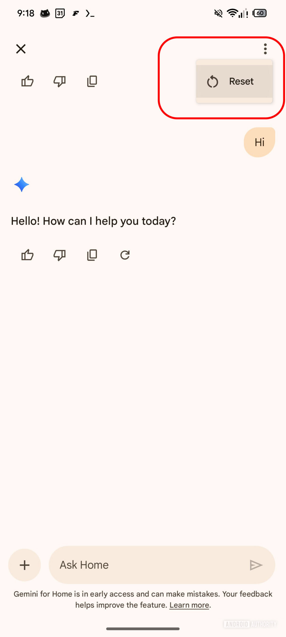 Google Home Ask Home Reset