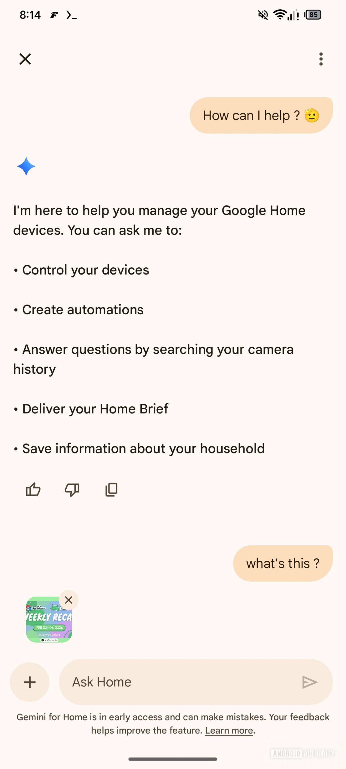 Google Home Ask Home attachment 3