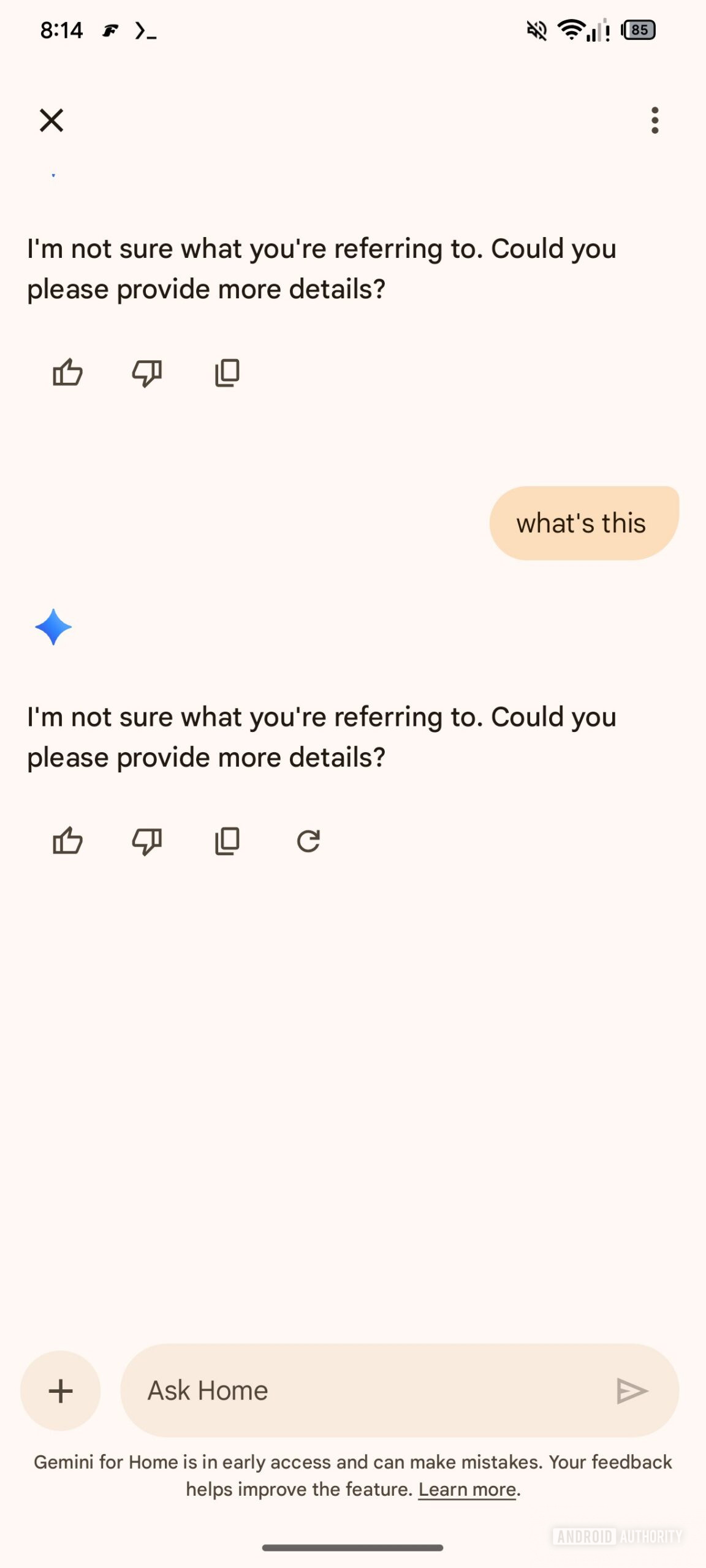Google Home Ask Home attachment 4
