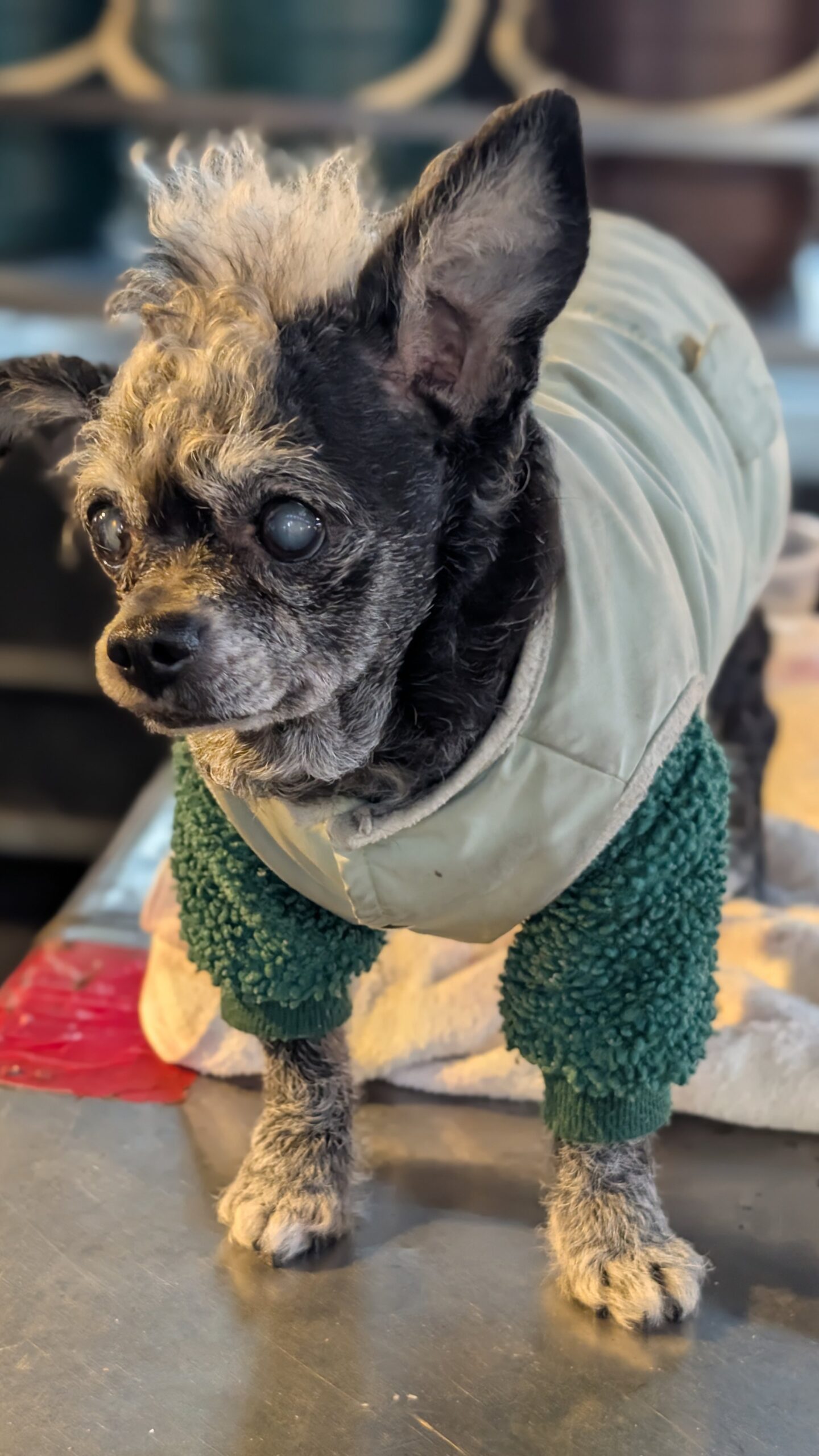 Wallpaper Raohe Market 4