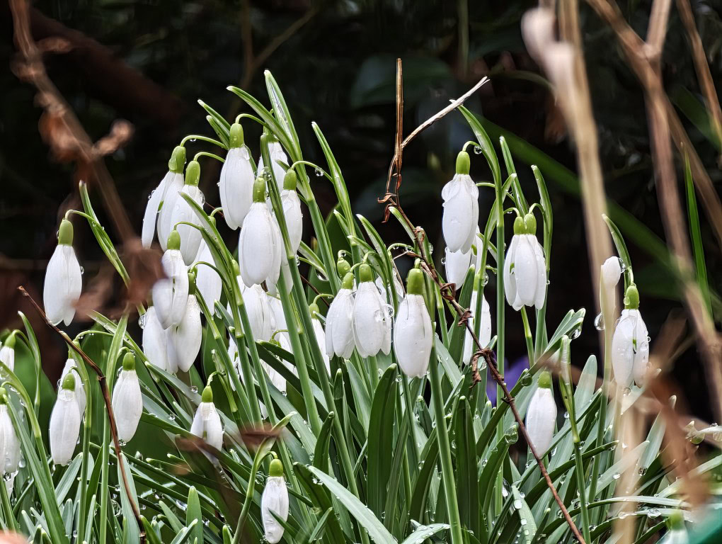 Xiaomi 17 Ultra 20x zoom outdoors