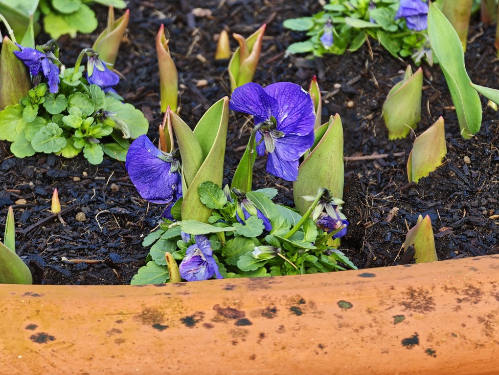 Xiaomi 17 Ultra zoom oversaturation