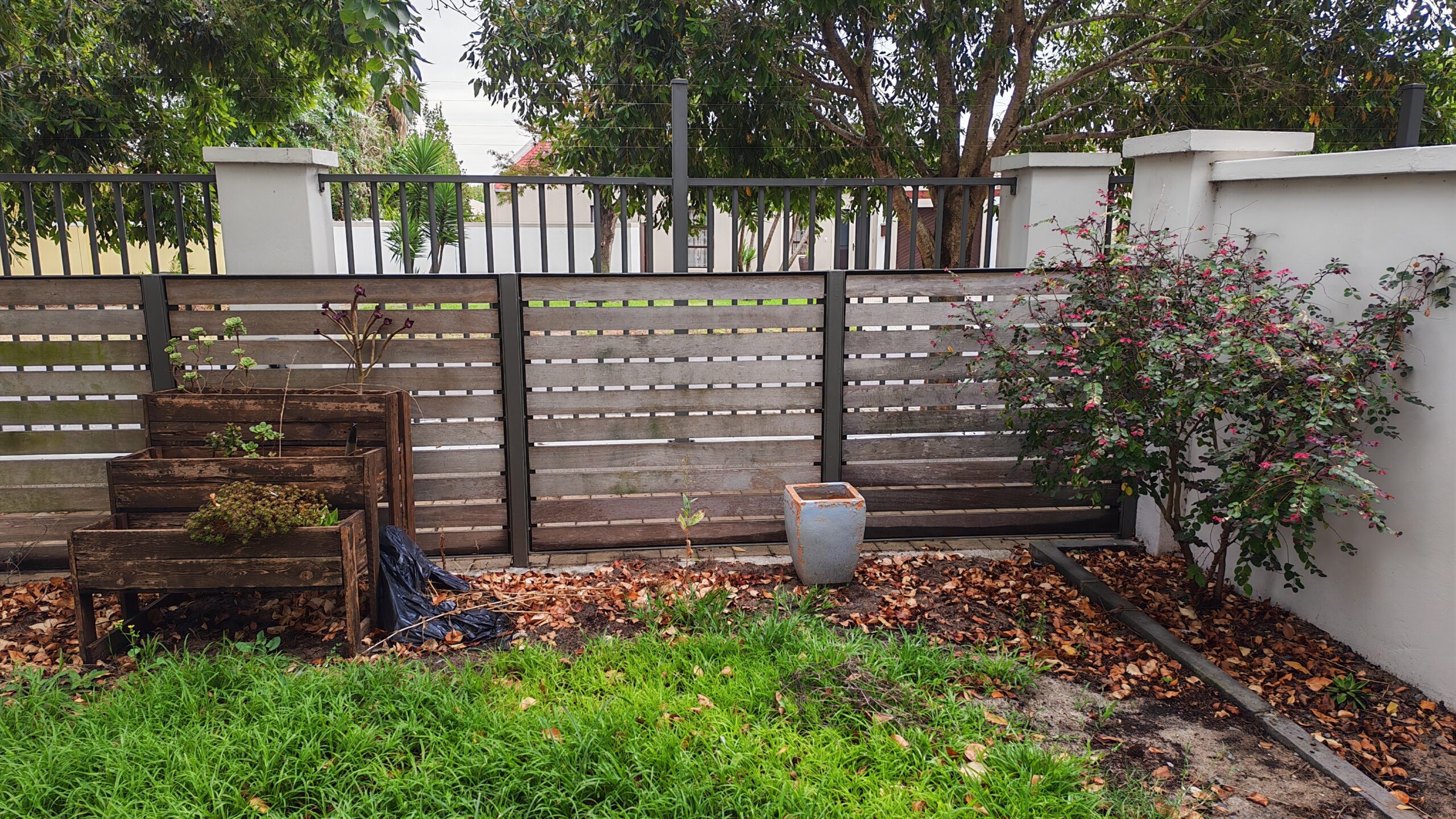 image of a messy garden