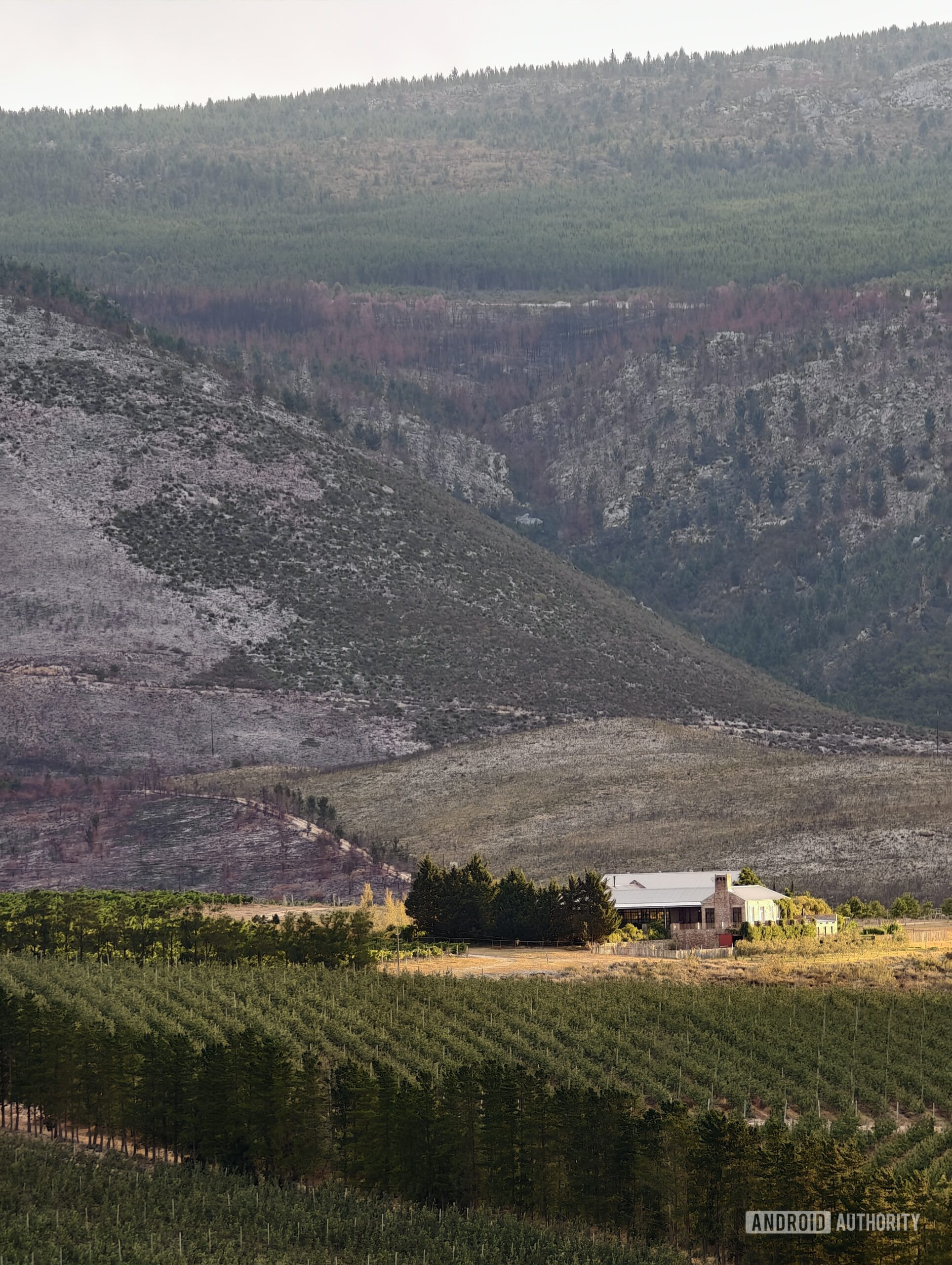 vivo x200 ultra teleconverter sample andy 3