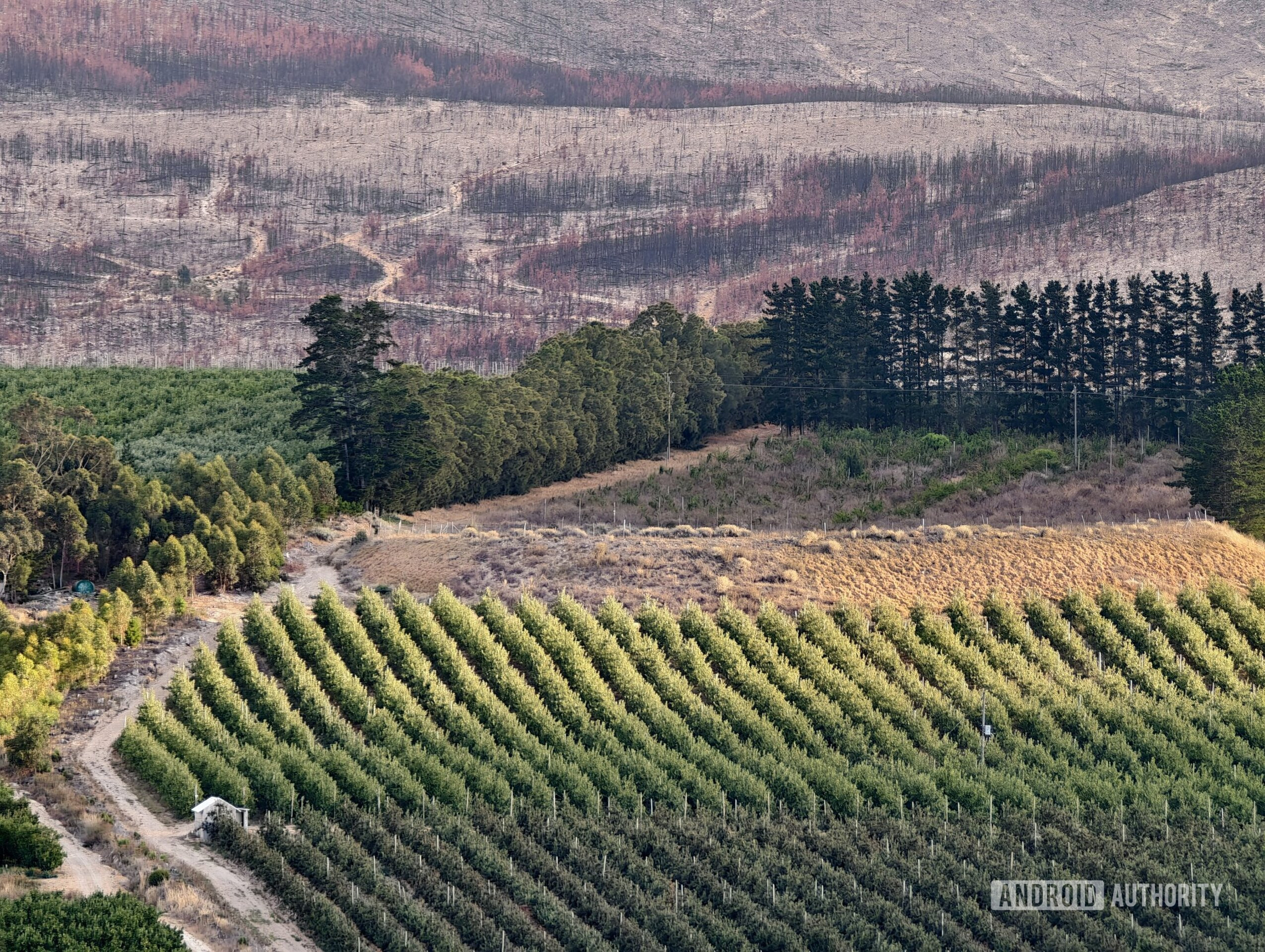 vivo x200 ultra teleconverter sample andy 5