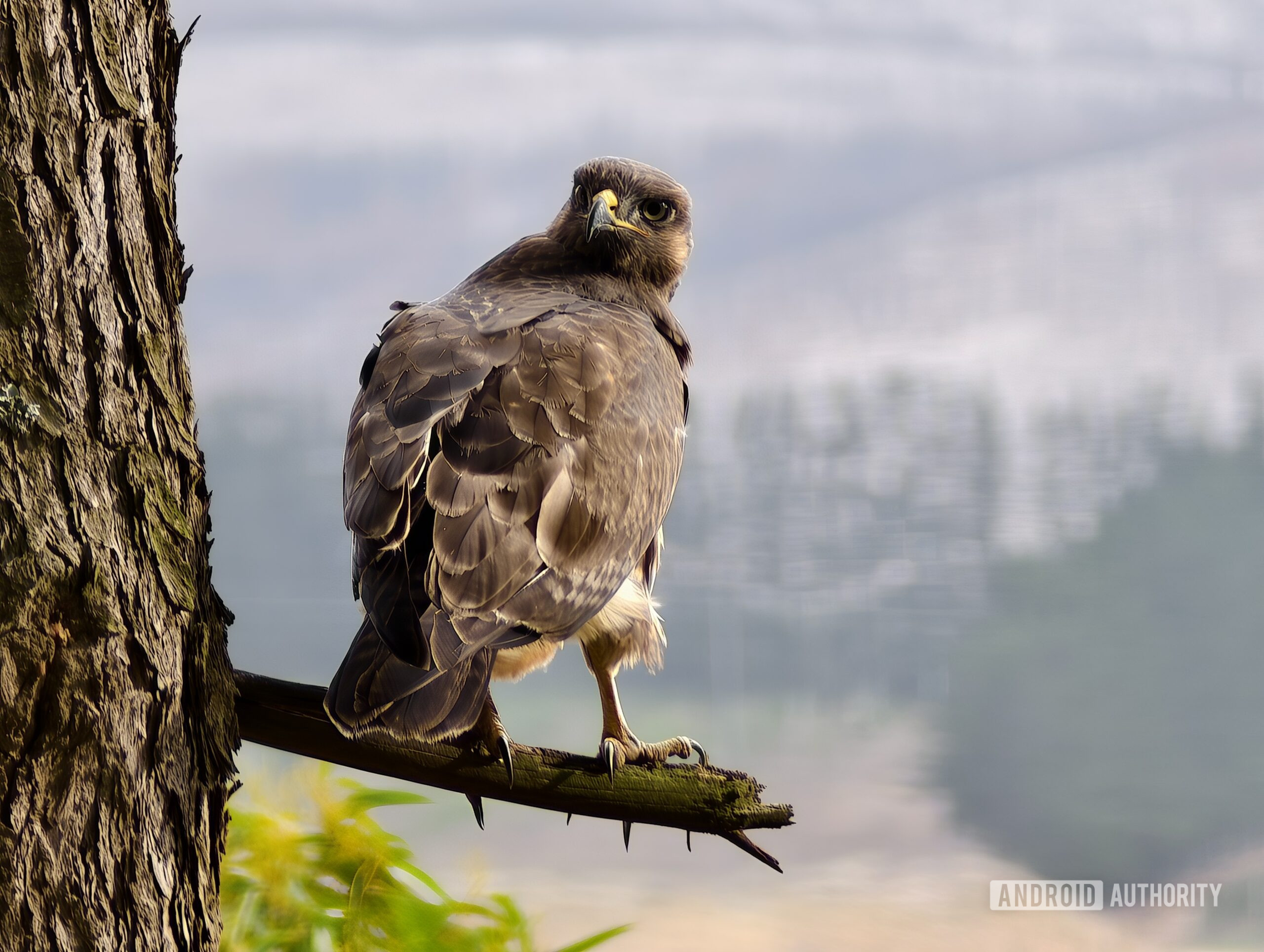 vivo x200 ultra teleconverter sample andy 7