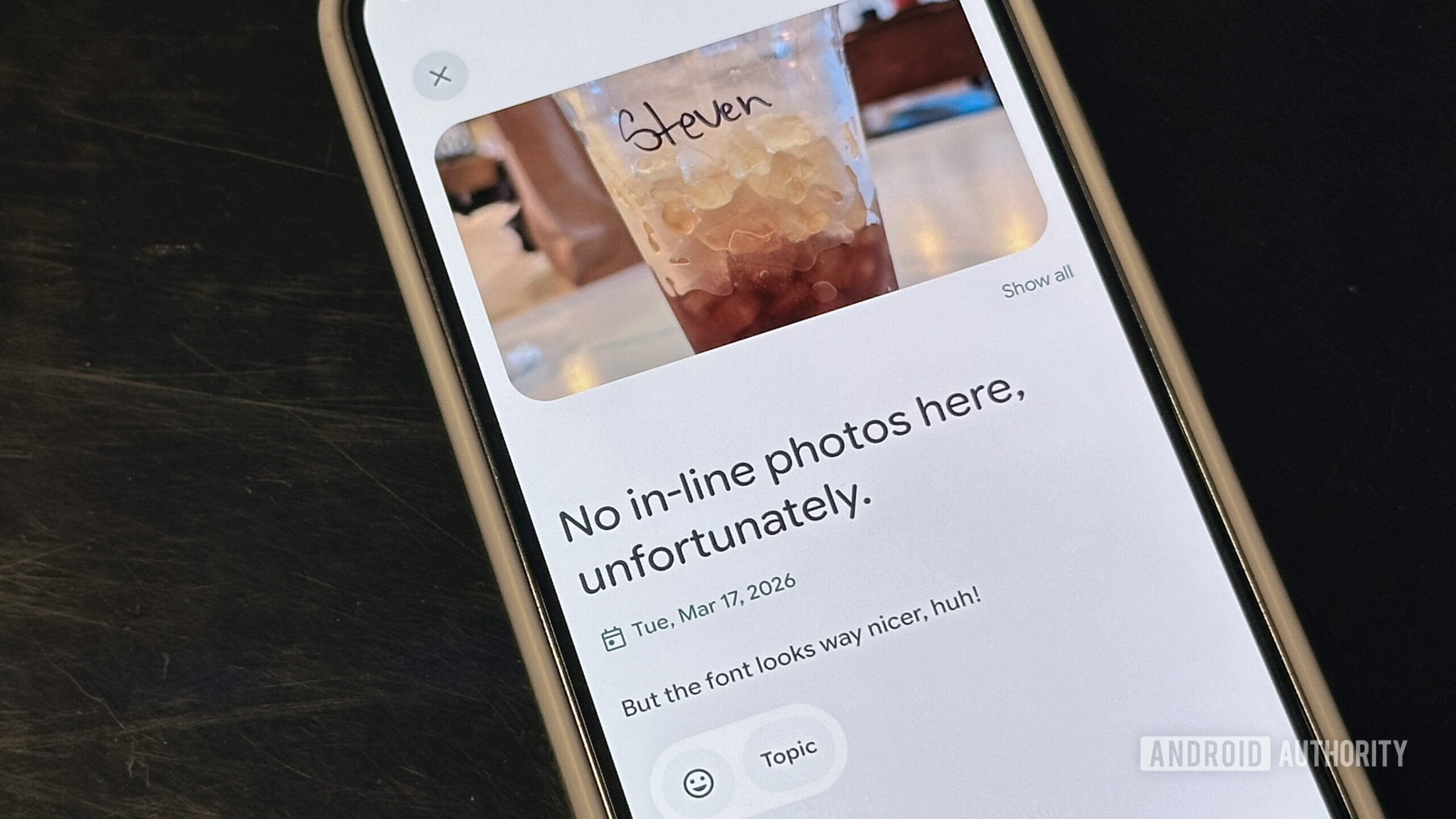 Google Journal entry view, no in-line photos