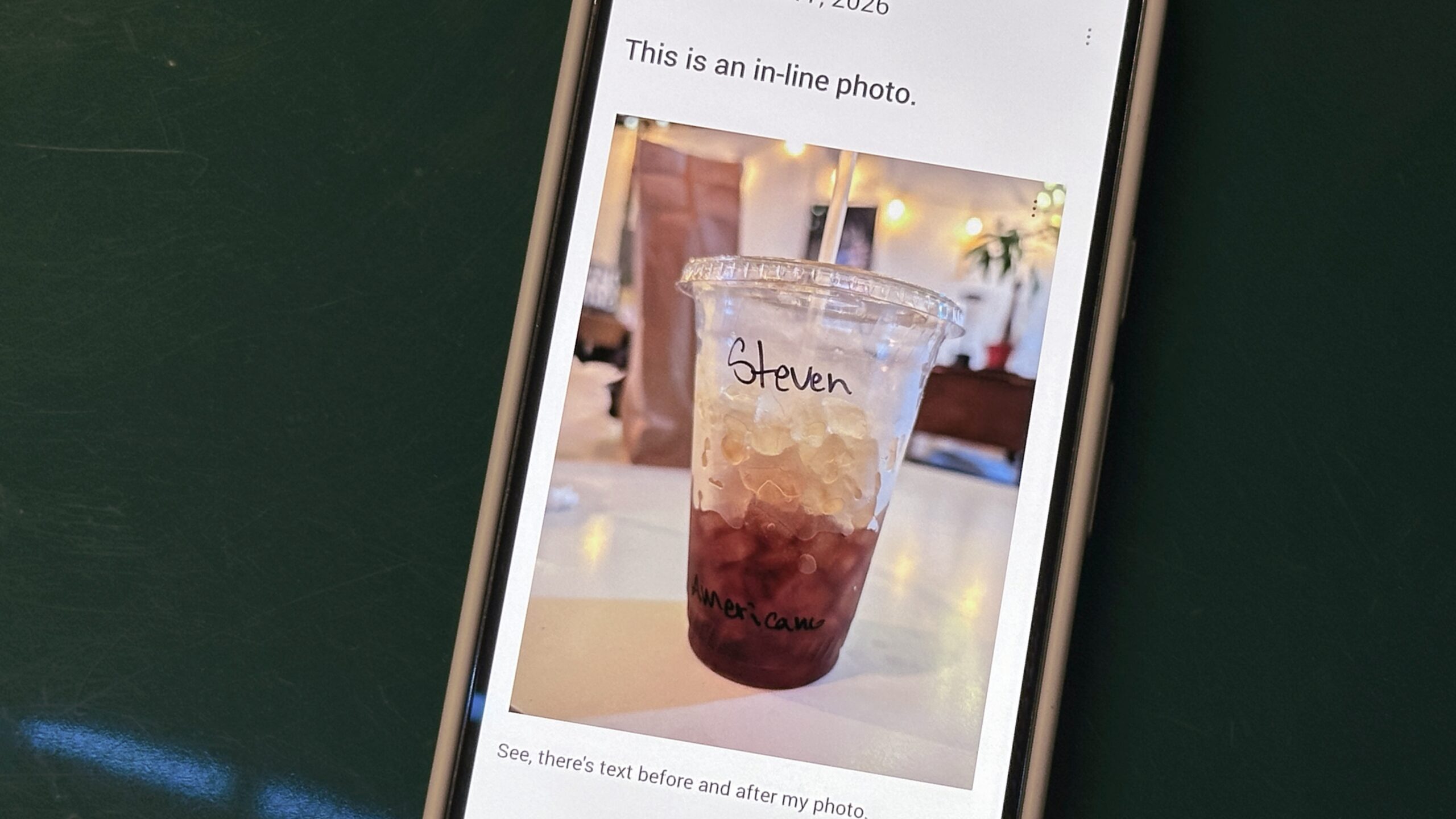 Day One journal in-line photos example