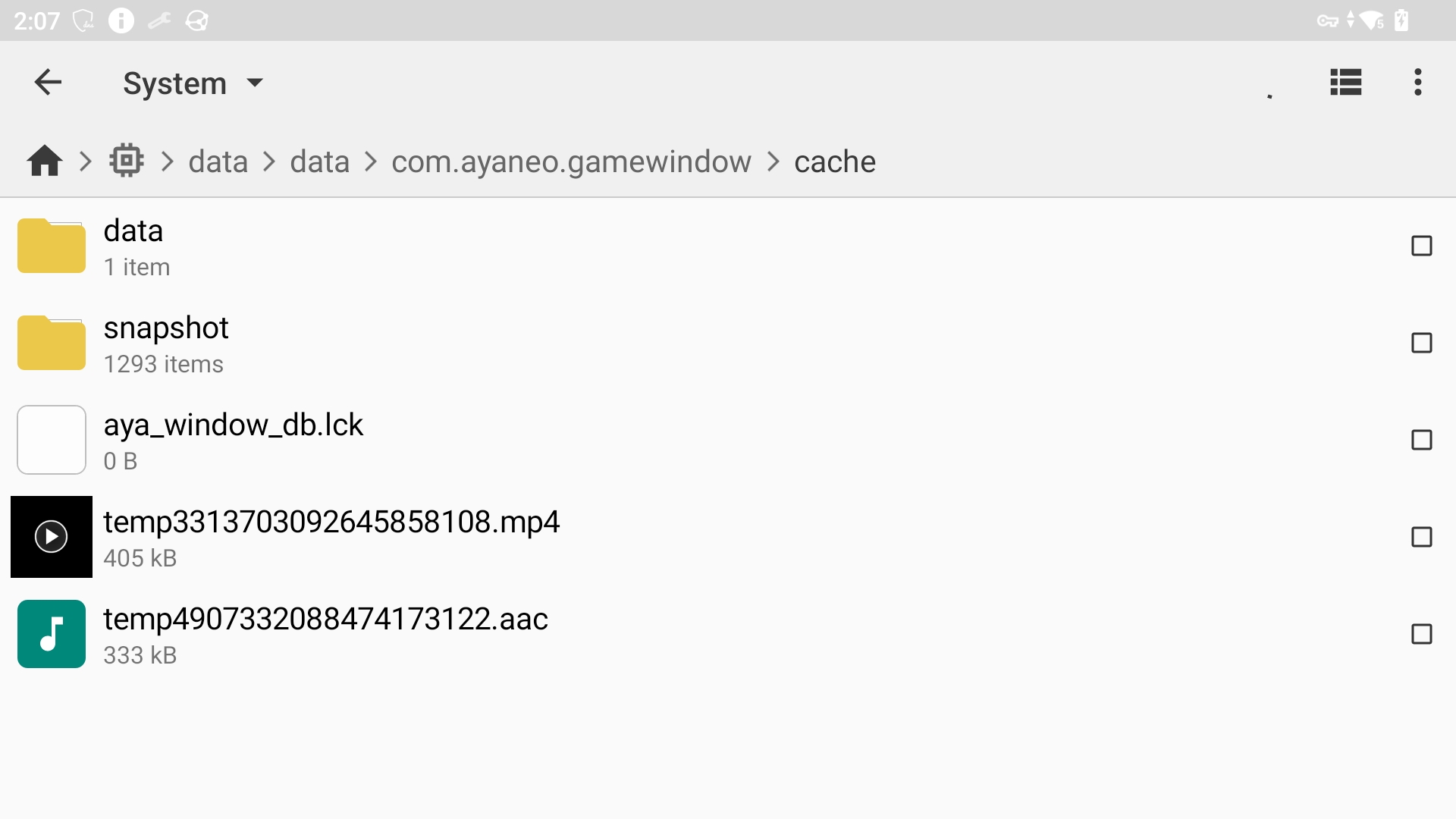 AYANEO Pocket DS Cache 1