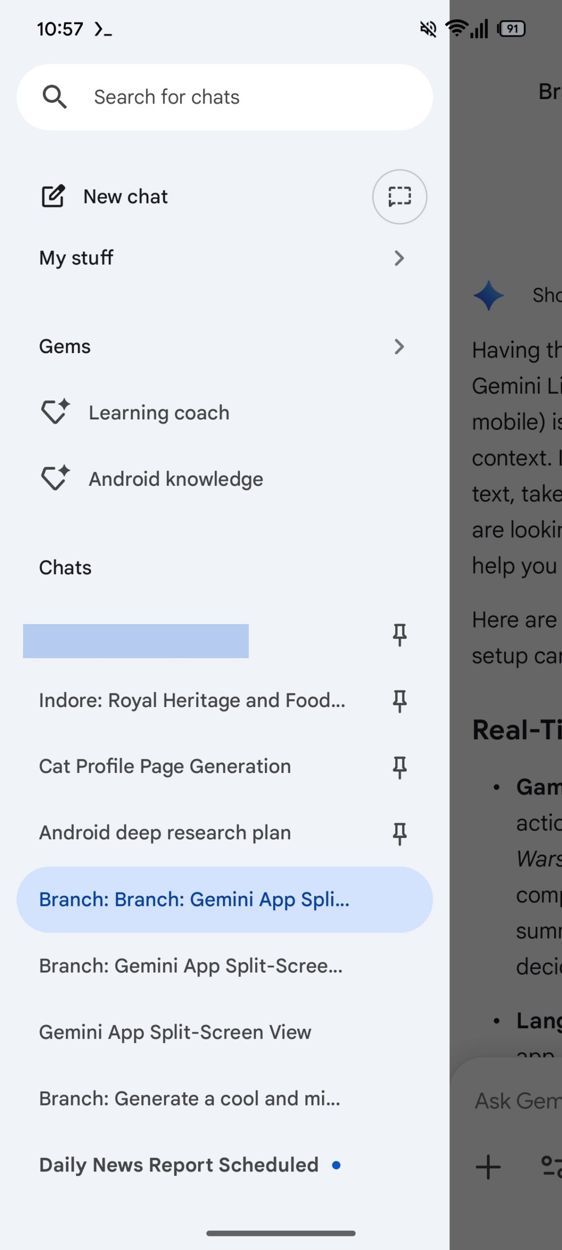 Gemini branch conversation 1