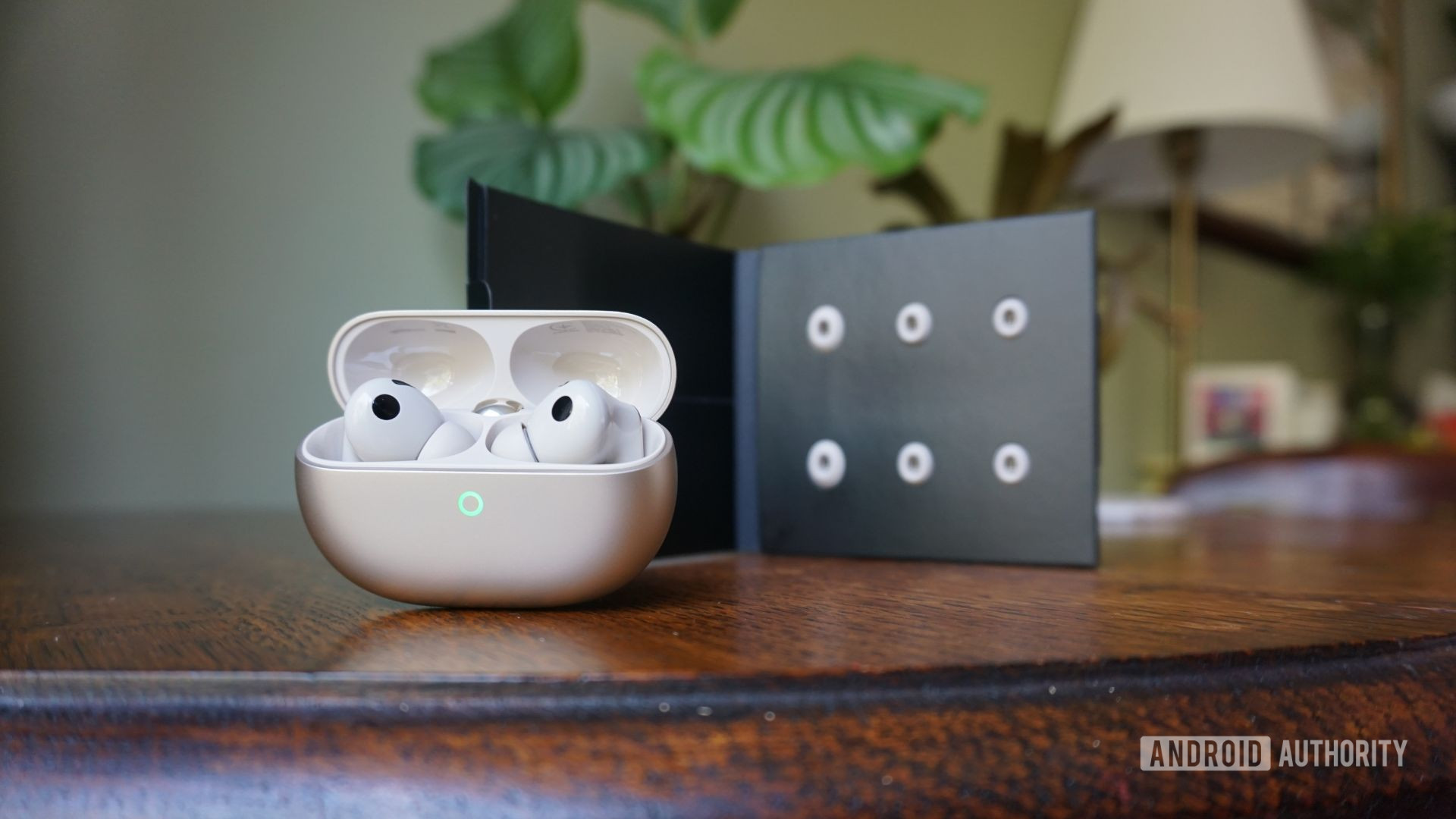 HUAWEI FreeBuds Pro 5 ear tips