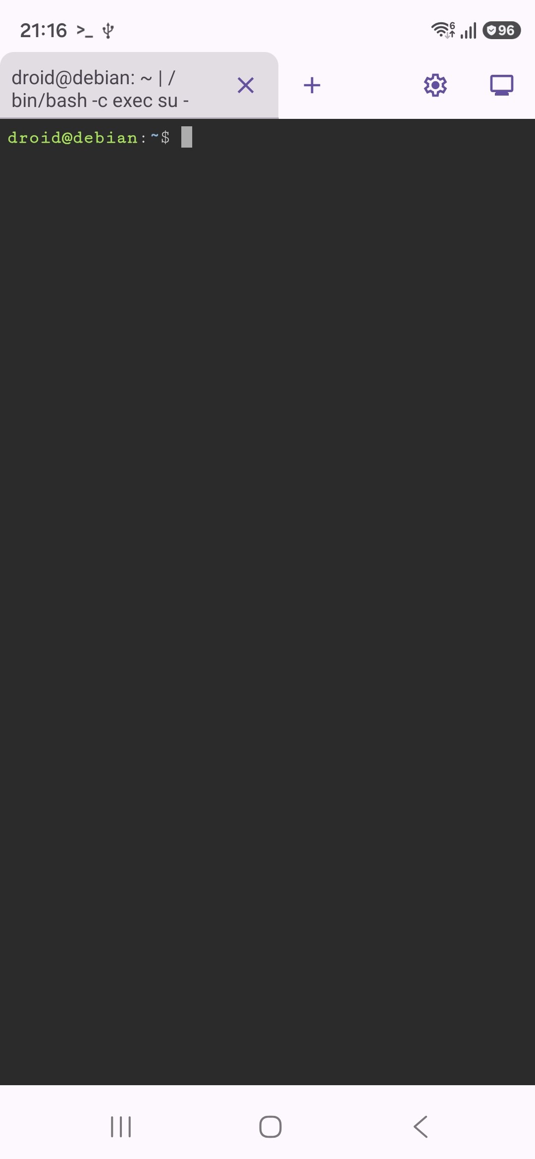 One UI 8.5 Linux Terminal graphical app support Dylan H