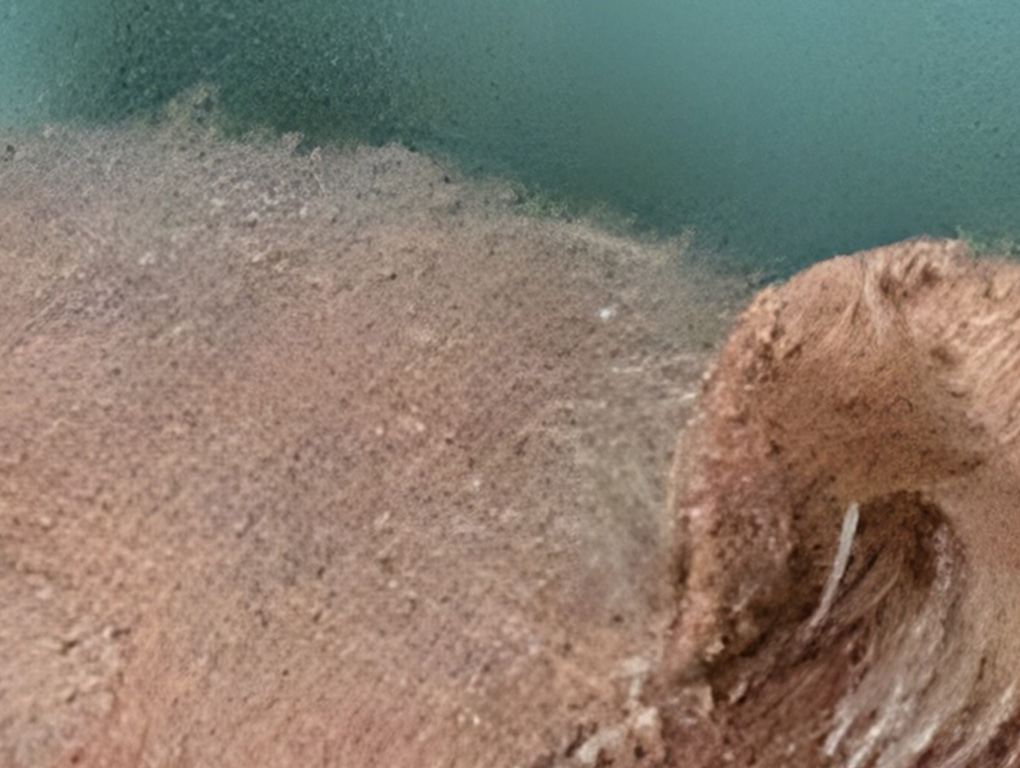 Pixel 10 Pro XL 10x Low Light Details