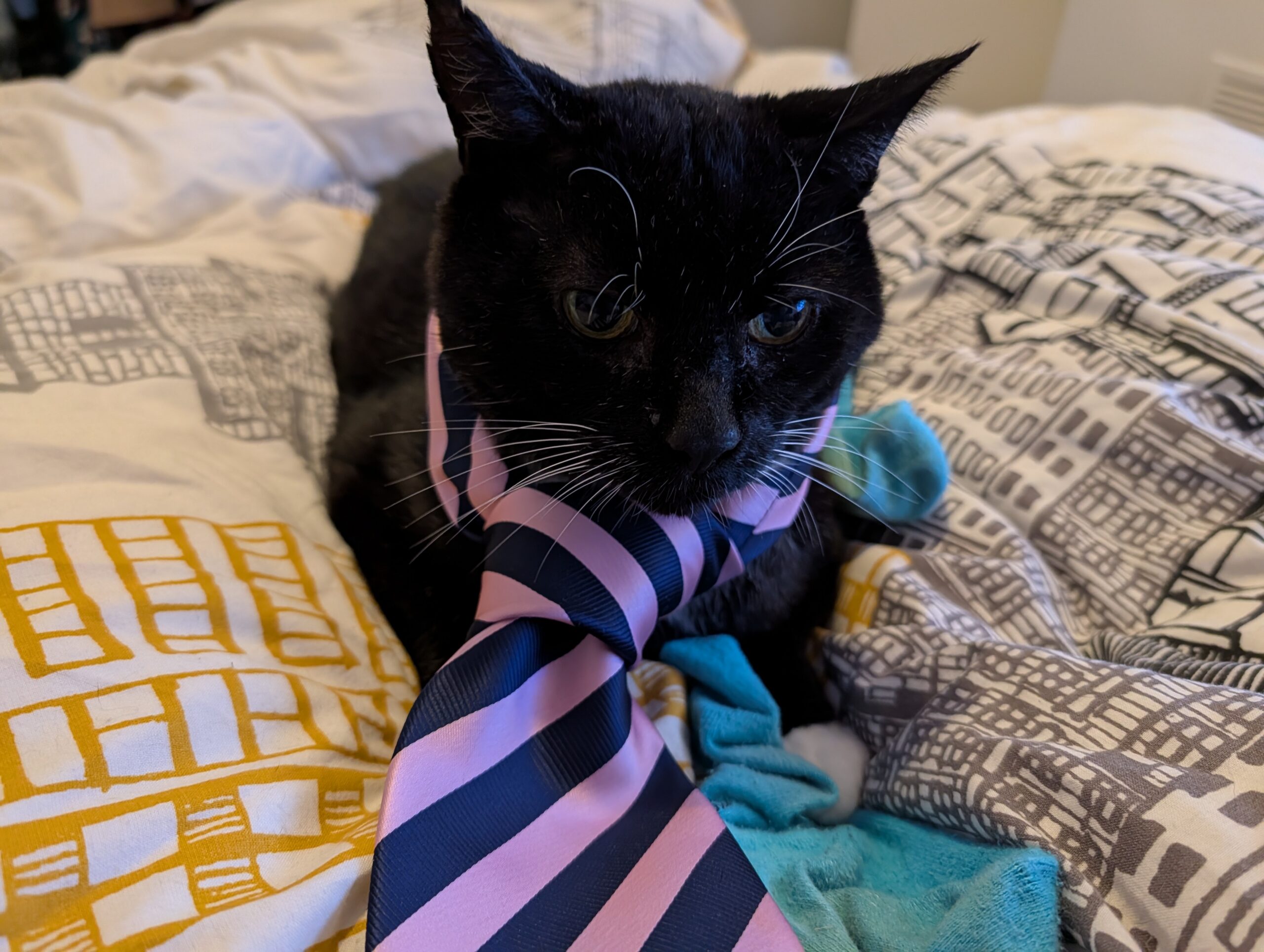 Pixel 10 pro bandit photo (1)