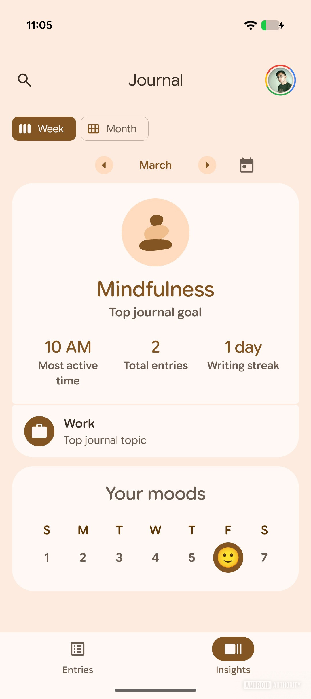 Pixel Journal Insights Page Changes 2