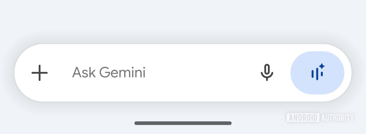 gemini input box live button