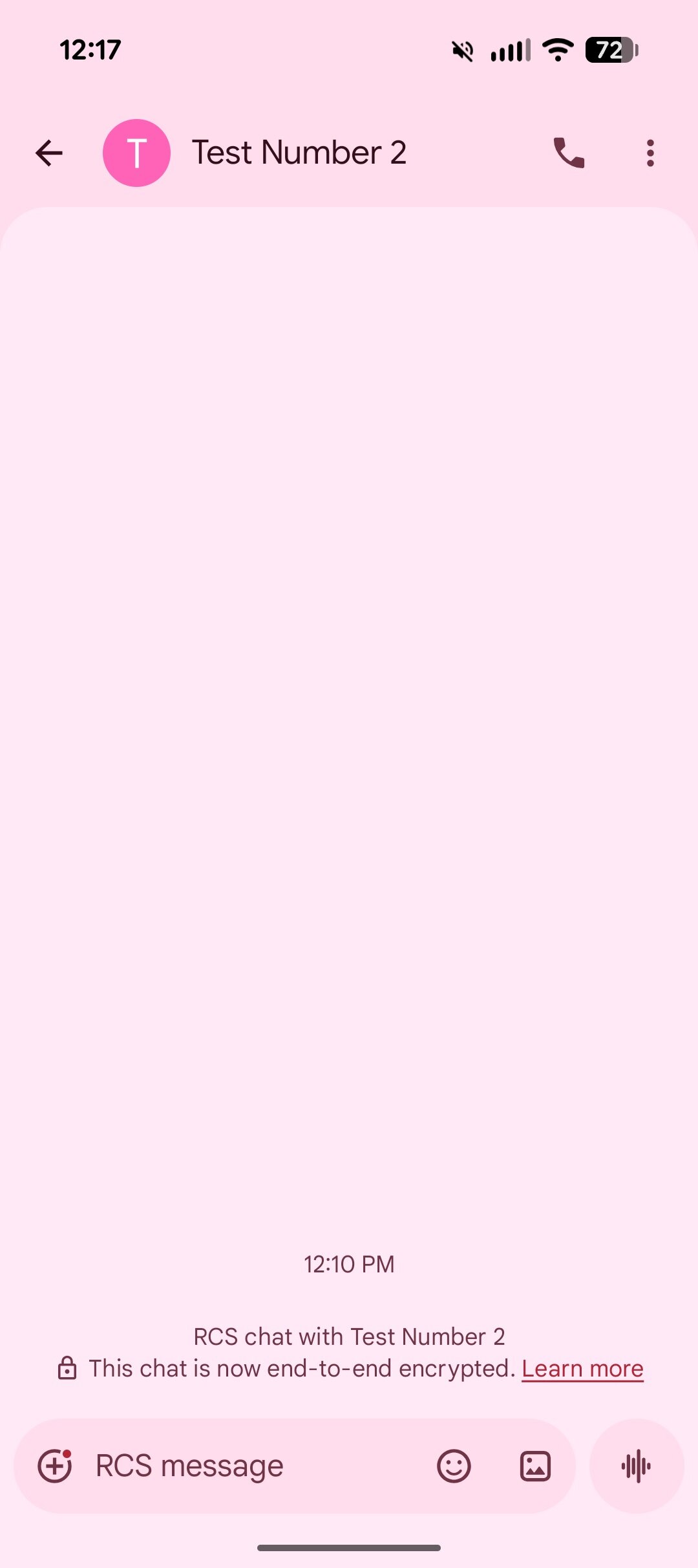 Screenshot of a conversation in the Google Messages app.