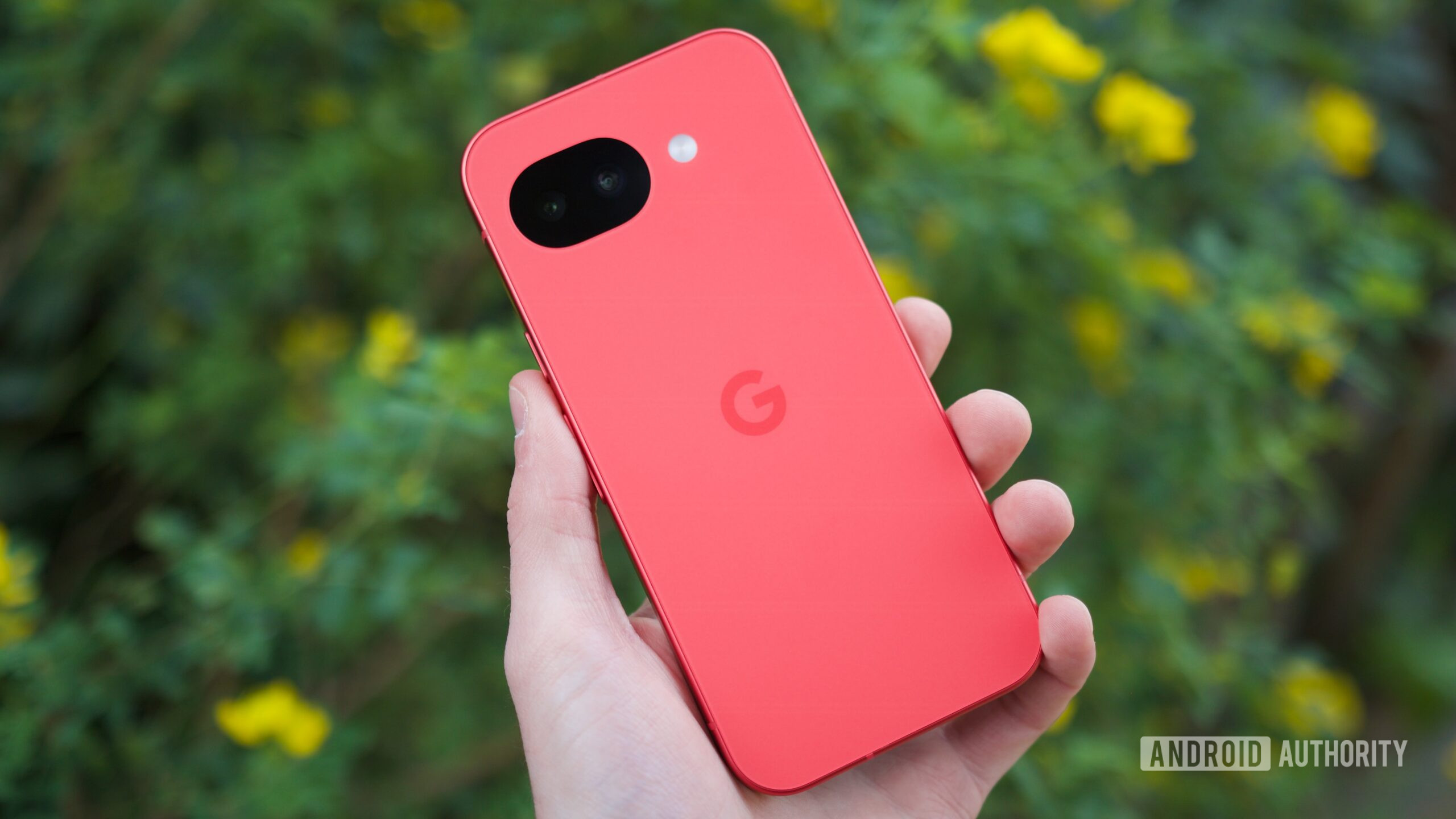 The Google Pixel 10a in its Berry color.