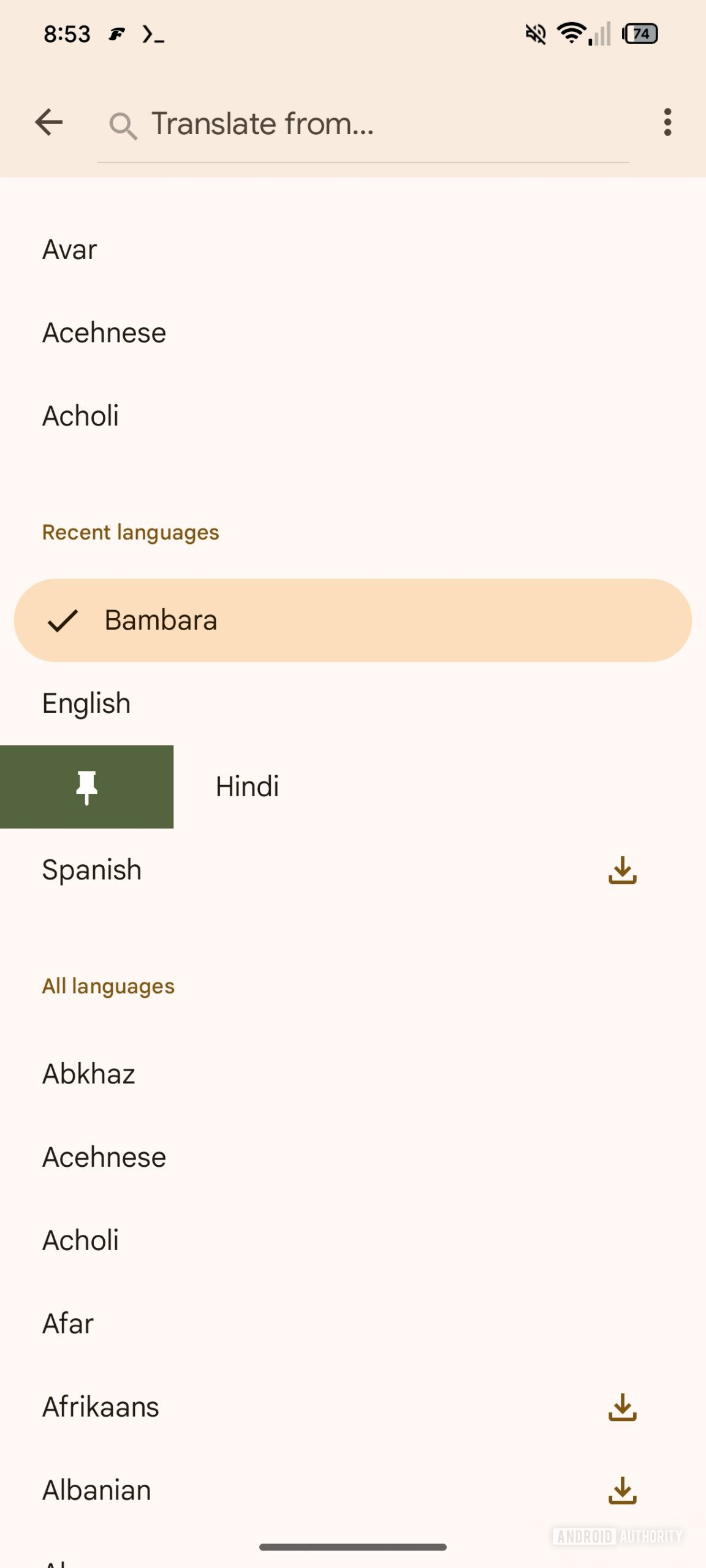 pin language google translate 1