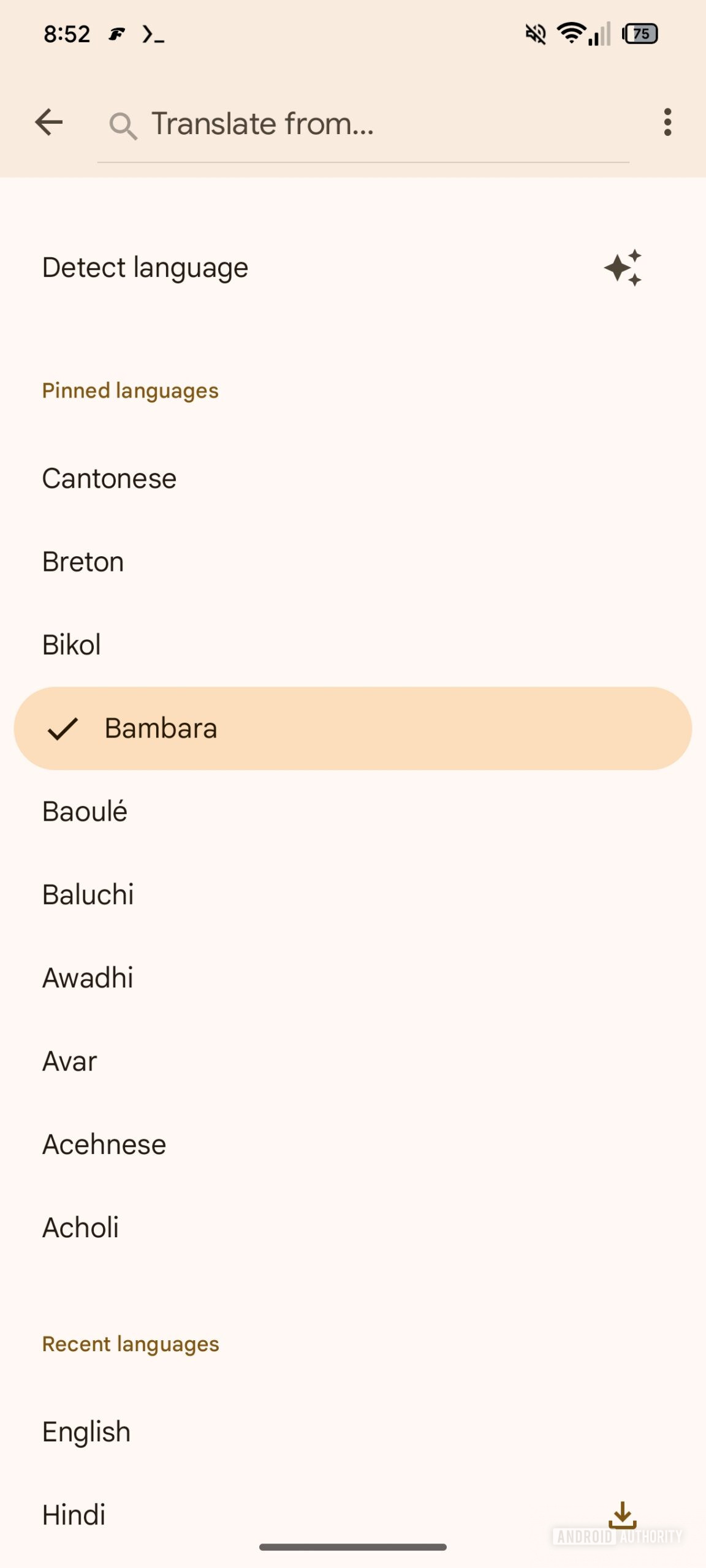 pinned languages google transate 1