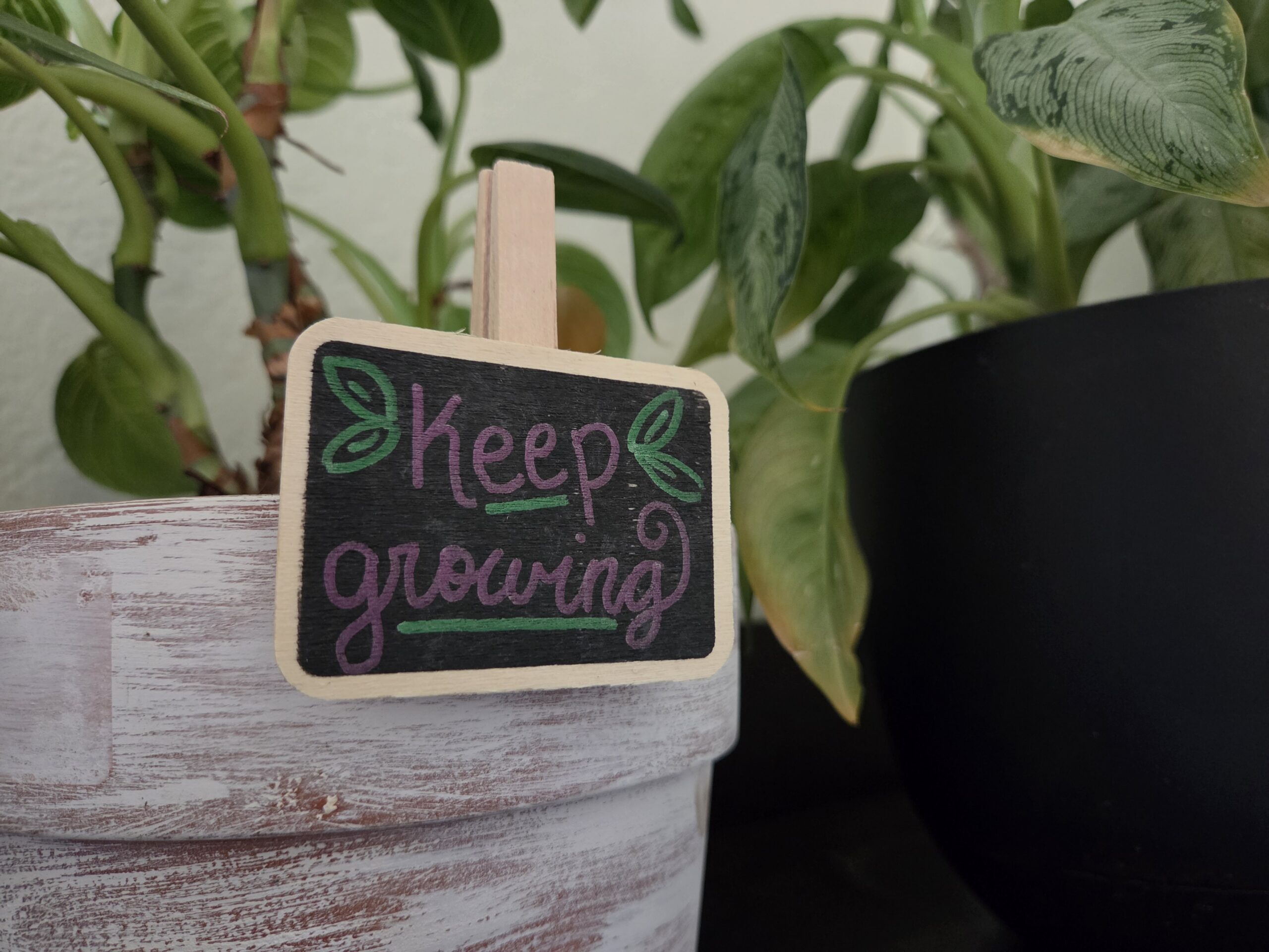 samsung galaxy s26 review camera sample 19