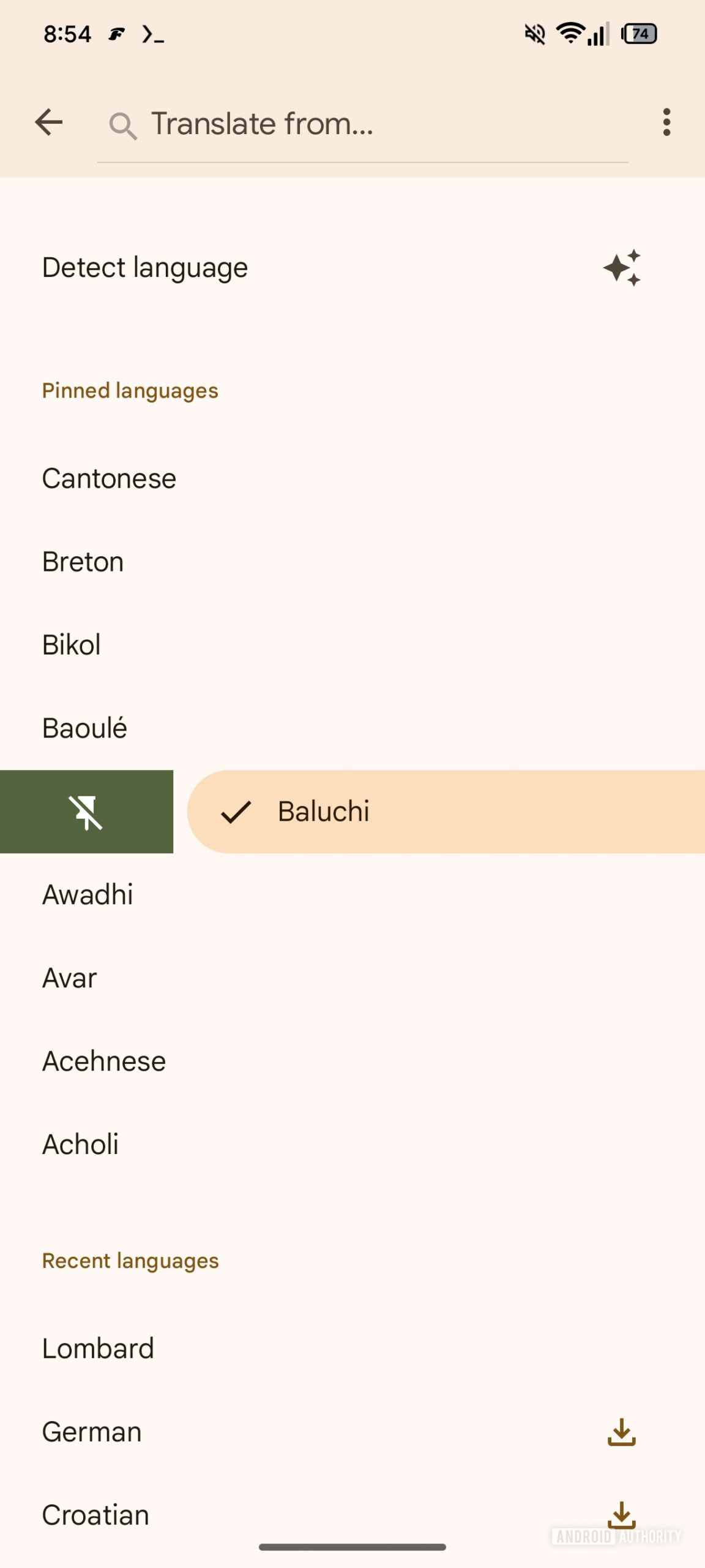 unpin language google transate 1
