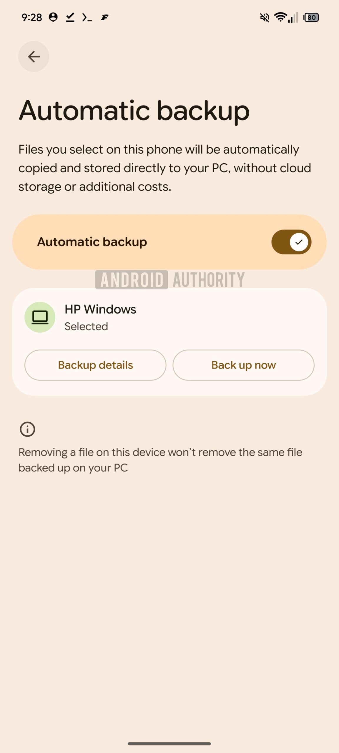 Google Automatic Backup 1