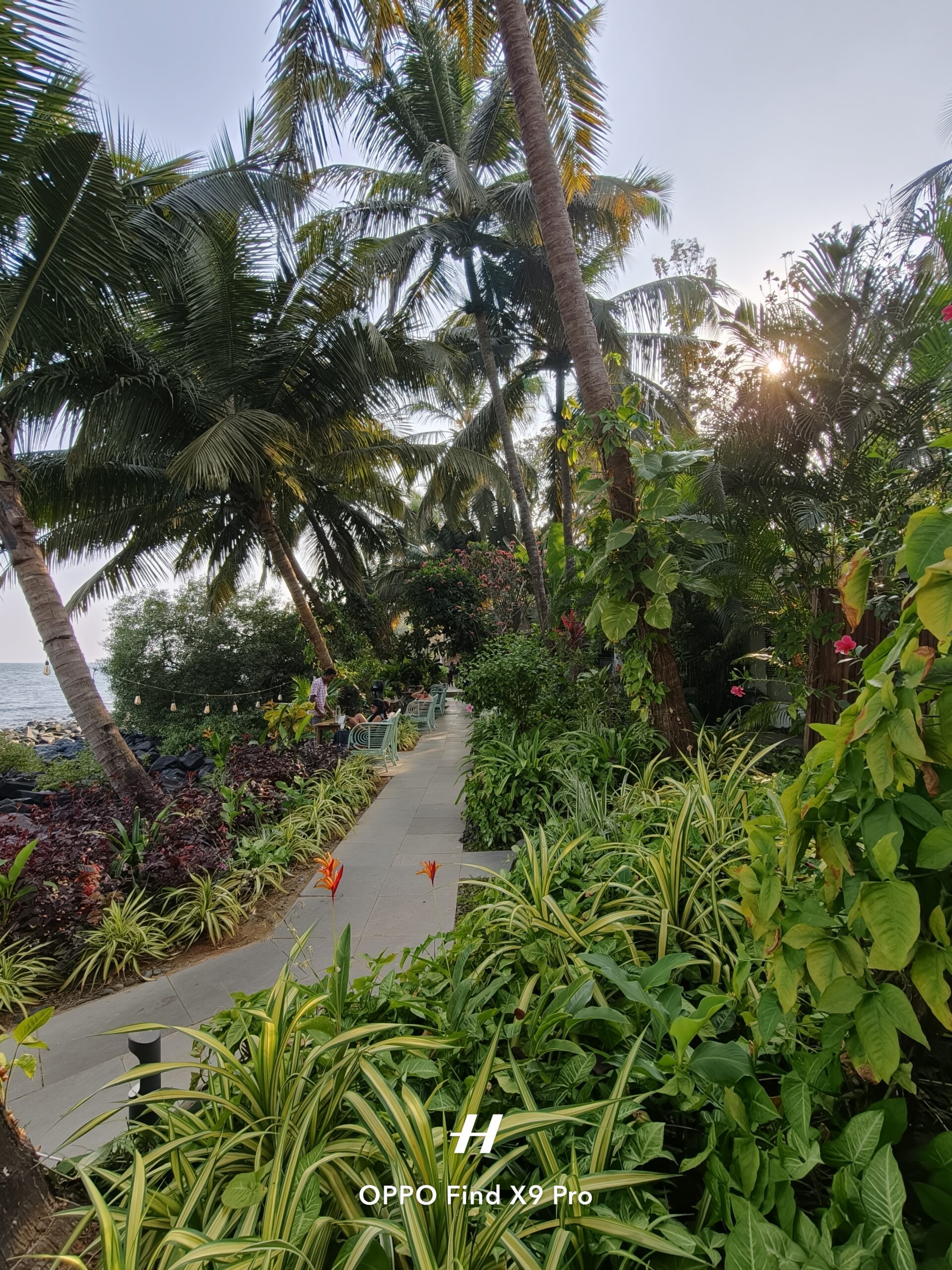 Shot on OPPO Find X9 Pro