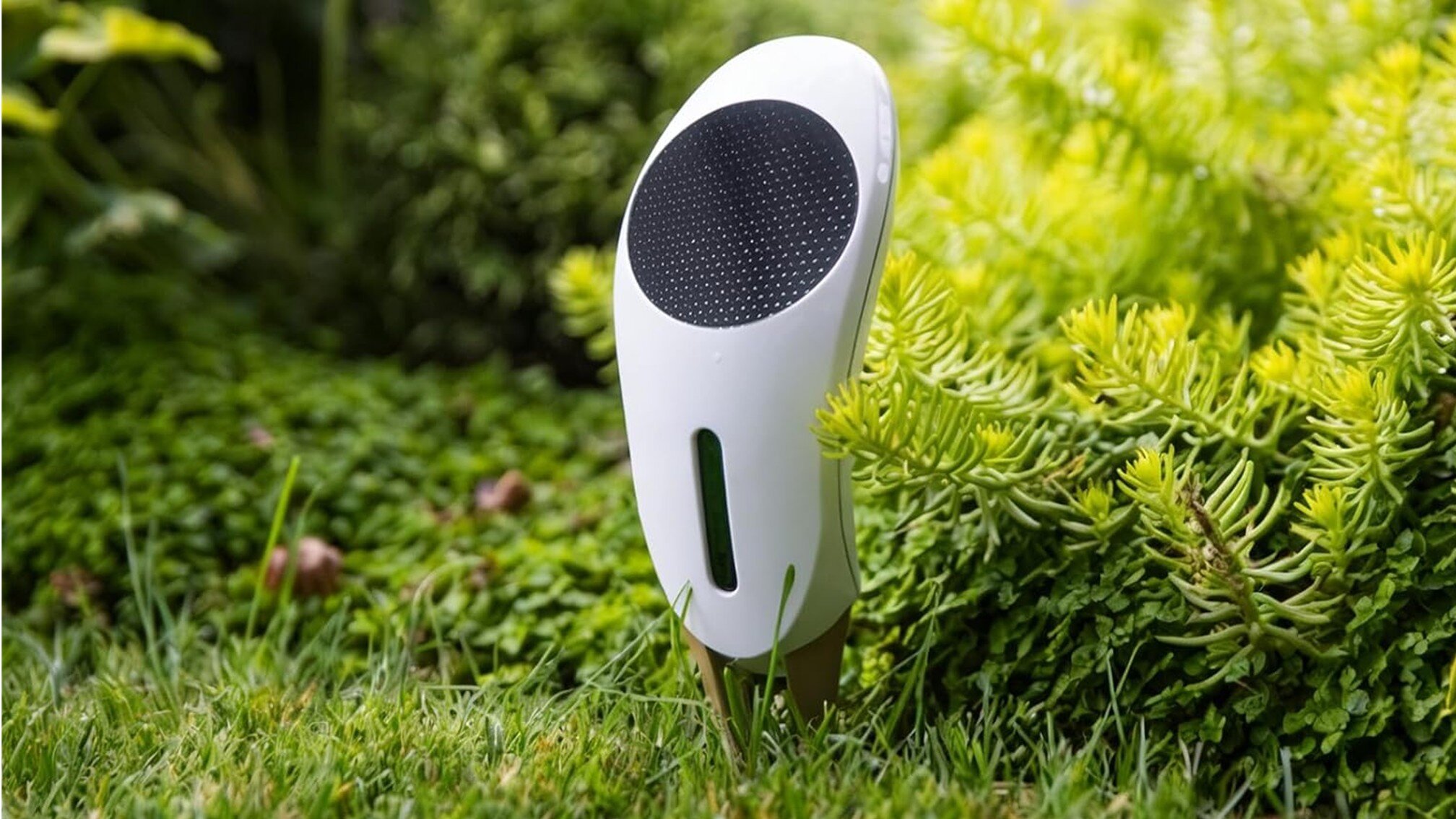 Netro Whisperer 2nd Gen Smart Plant Sensor Press Image Netro Whisperer 2nd Gen Smart Plant Sensor Press Image