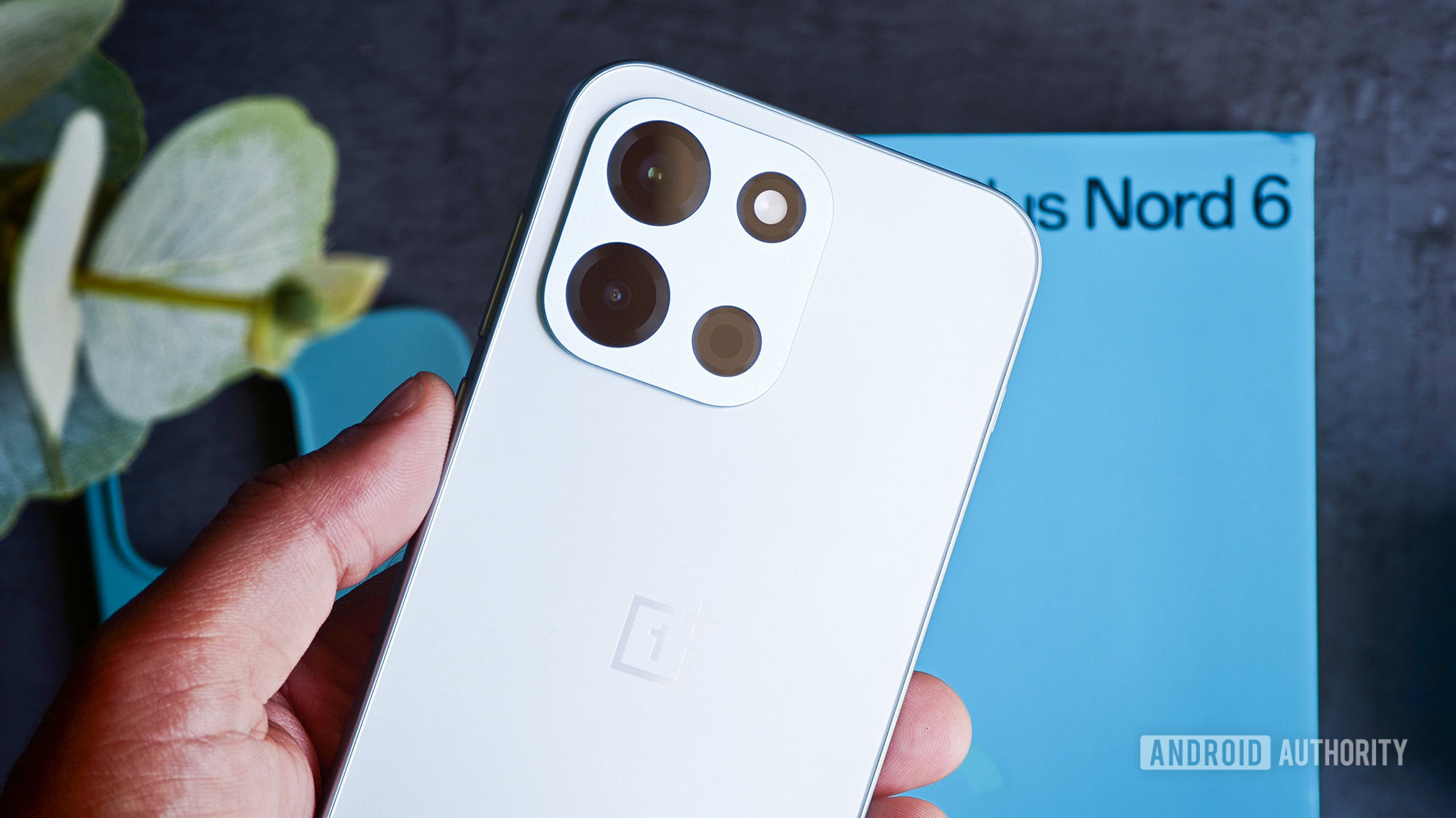 OnePlus Nord 6 cameras