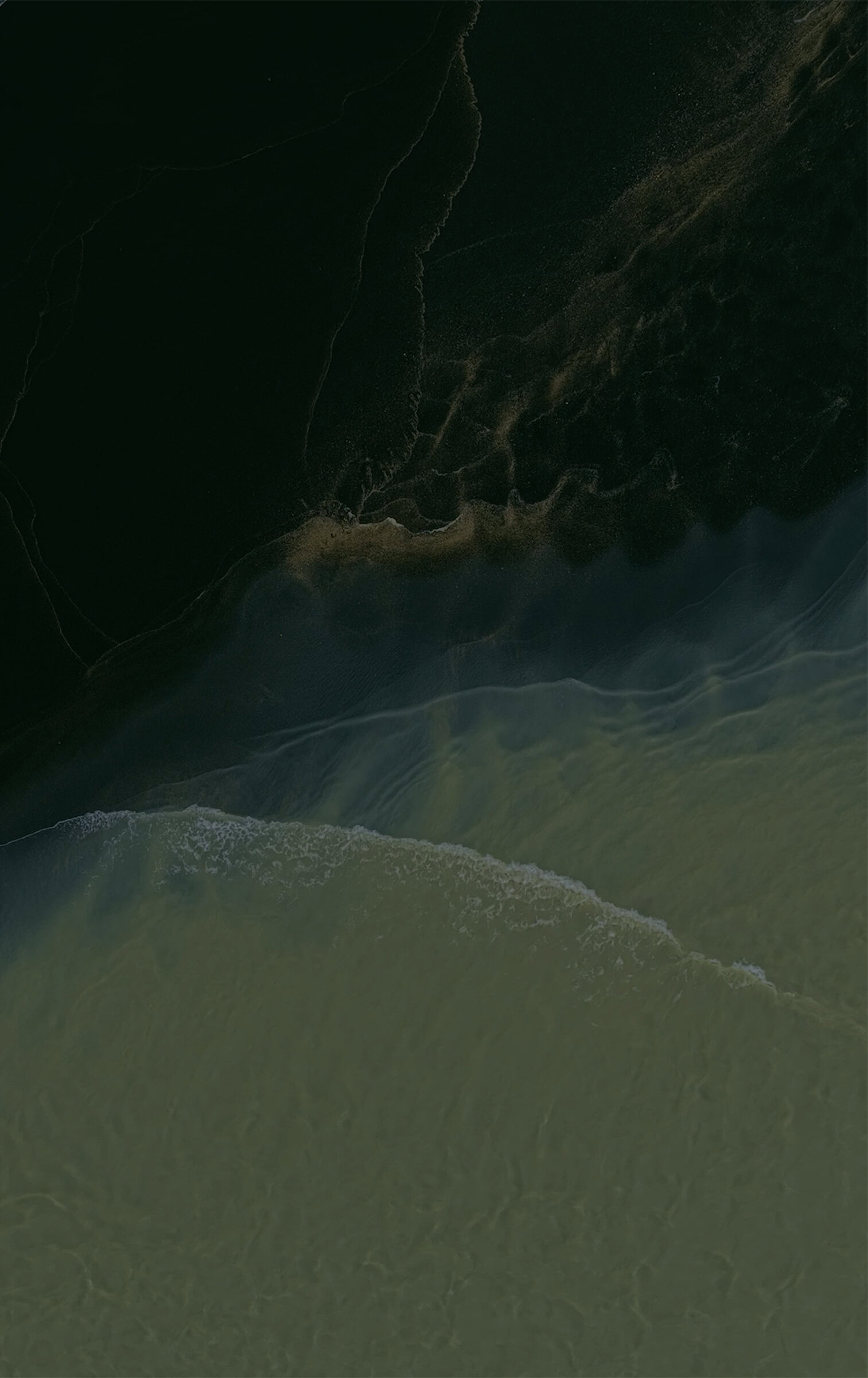 Pixel11ProFold Pine Dark Front MysticLeaks