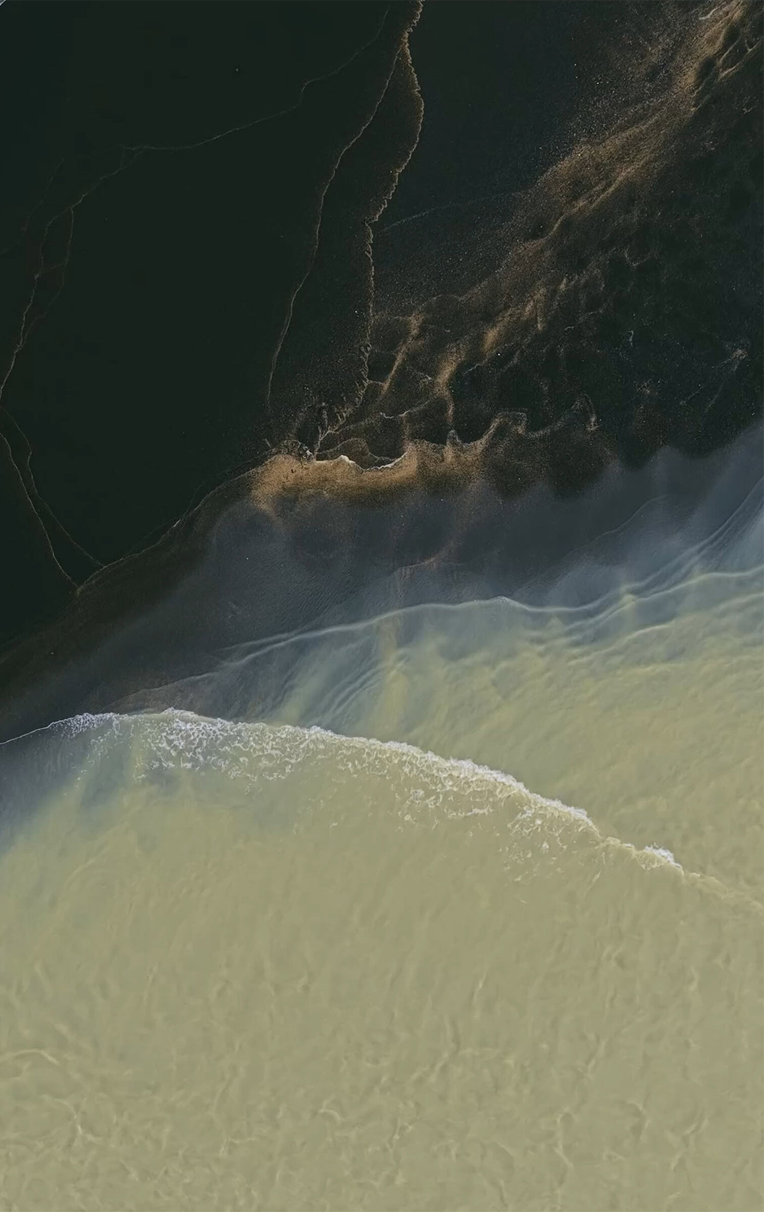 Pixel11ProFold Pine Front MysticLeaks