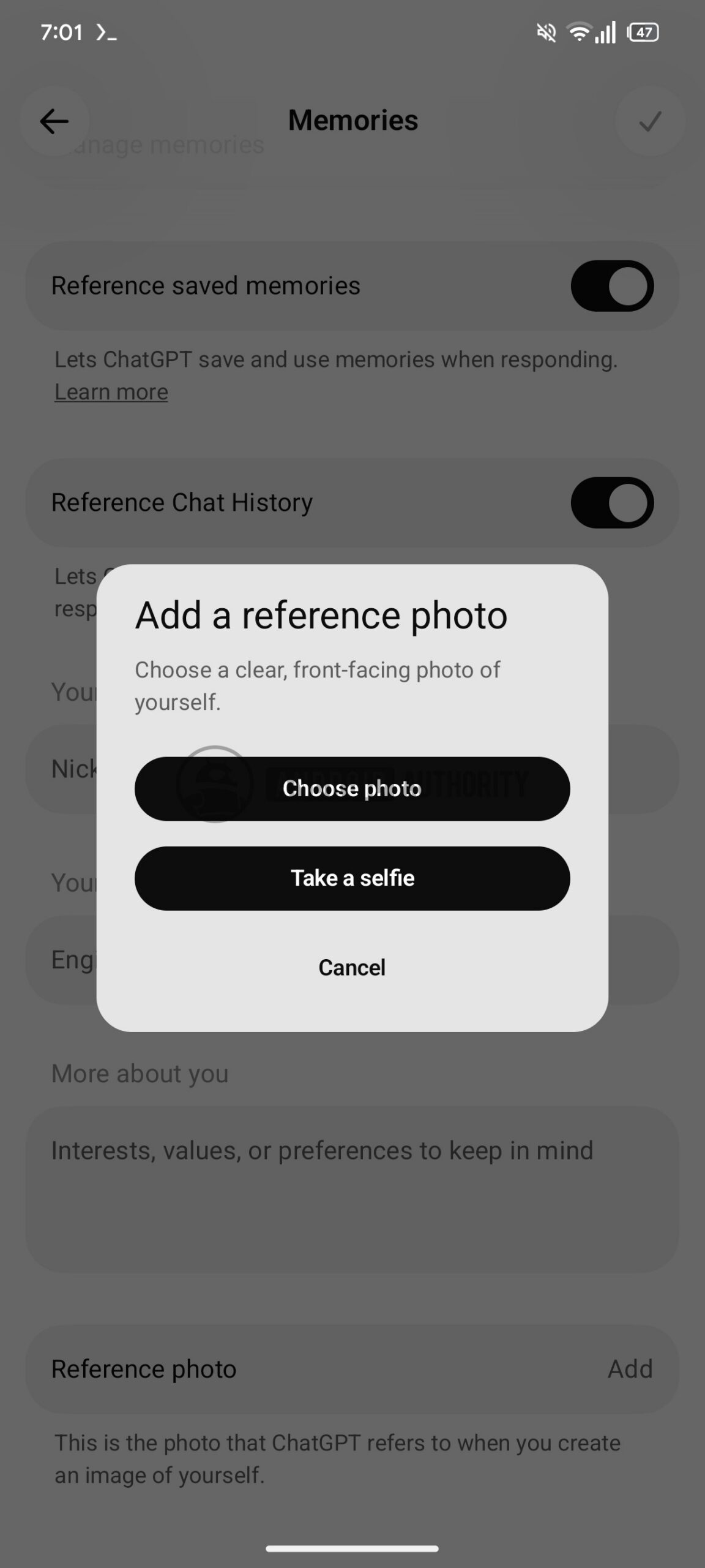 chatgpt reference photo 2