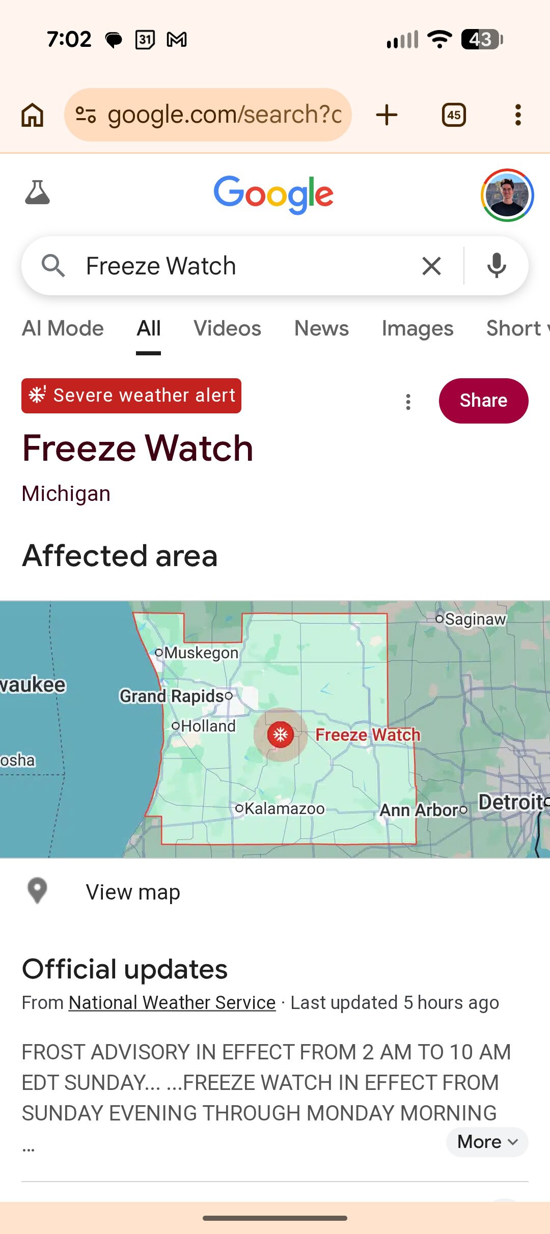 Screenshot of Pixel Weather showing a weather alert.