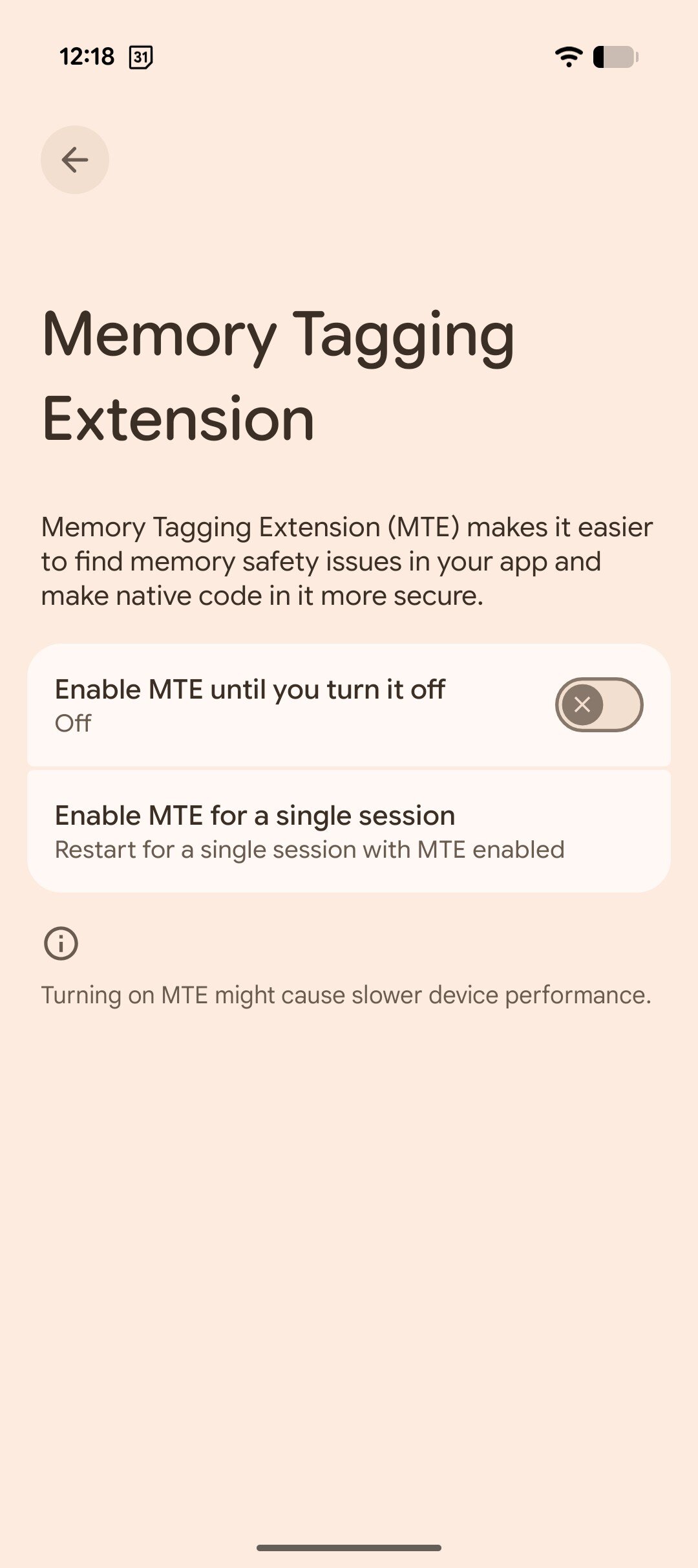 memory tagging extension